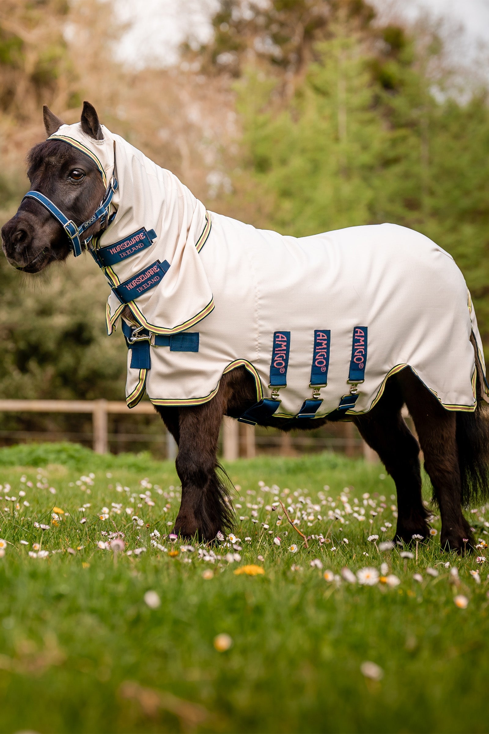 Horseware Amigo Ripstop Hoody Petite, vliegendeken Paardendekens