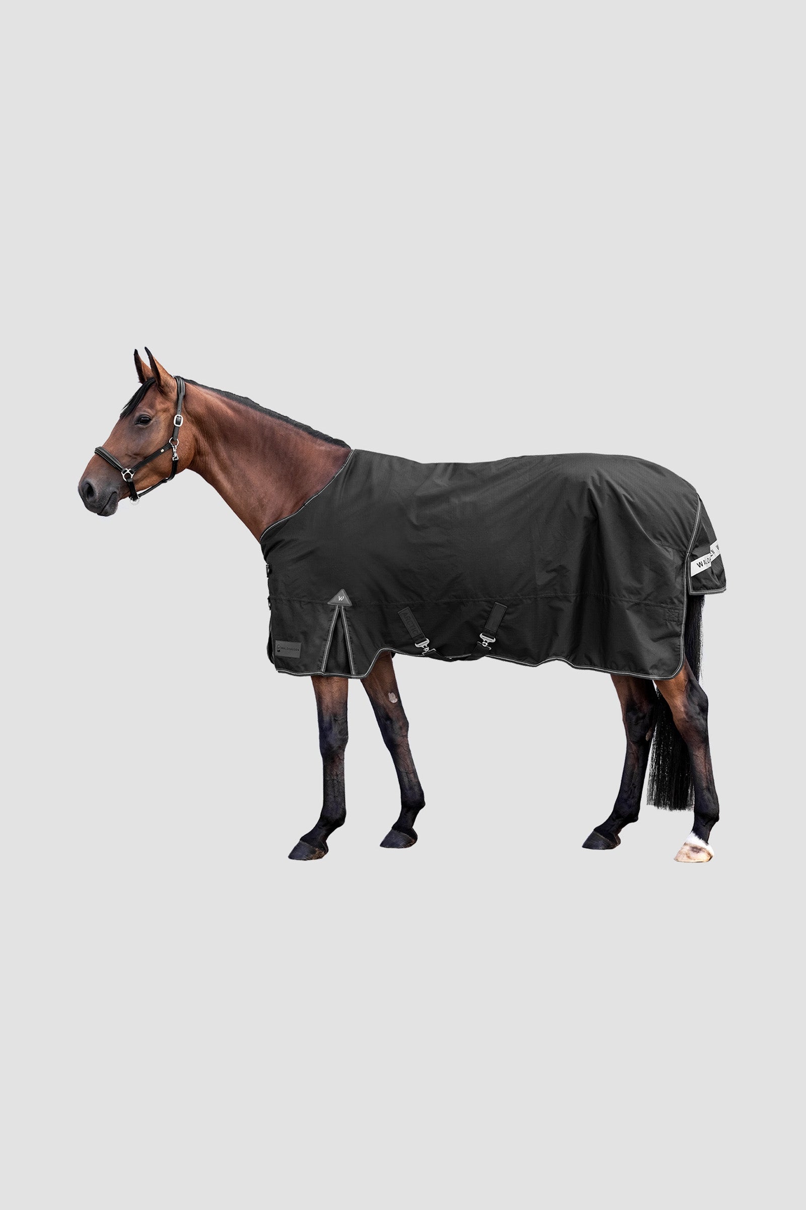 Waldhausen Outdoor Rug Arctic Light Paardendekens