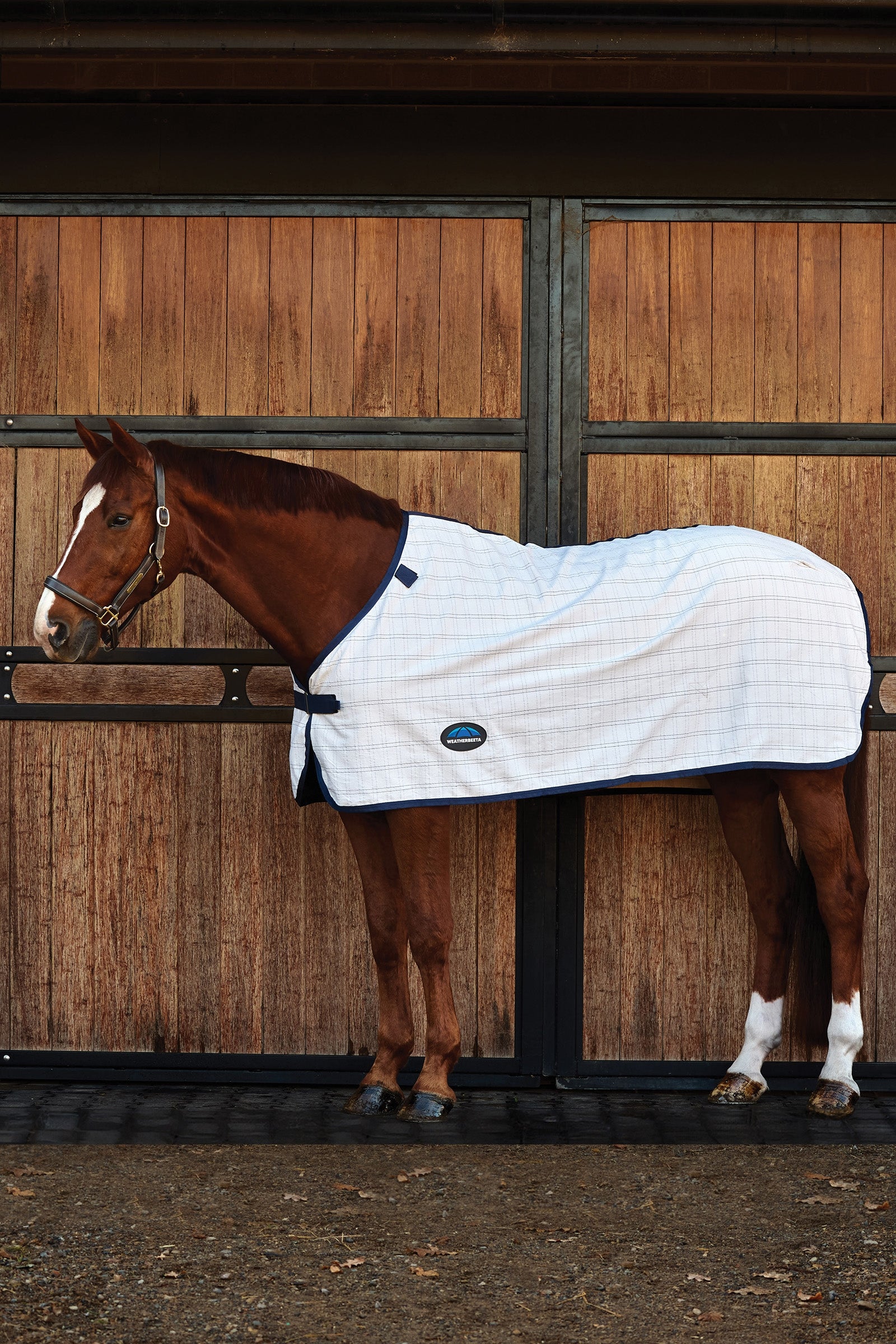 Weatherbeeta ComFiTec Cotton-Liner Horse Rugs