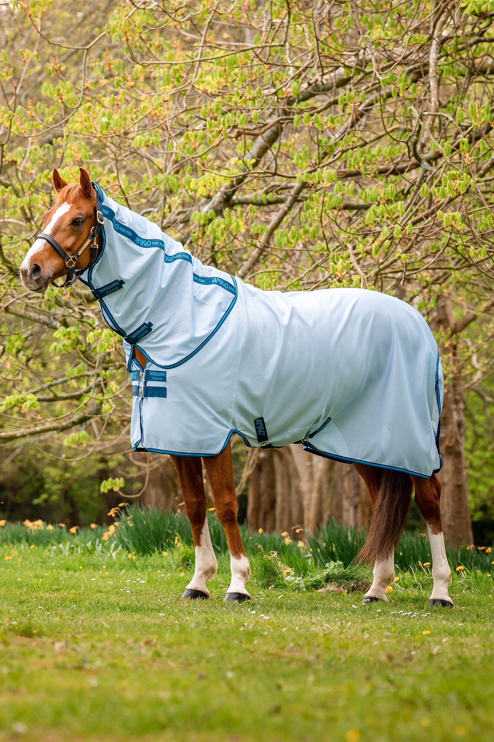Horseware Amigo Bug Rug Horse Rugs