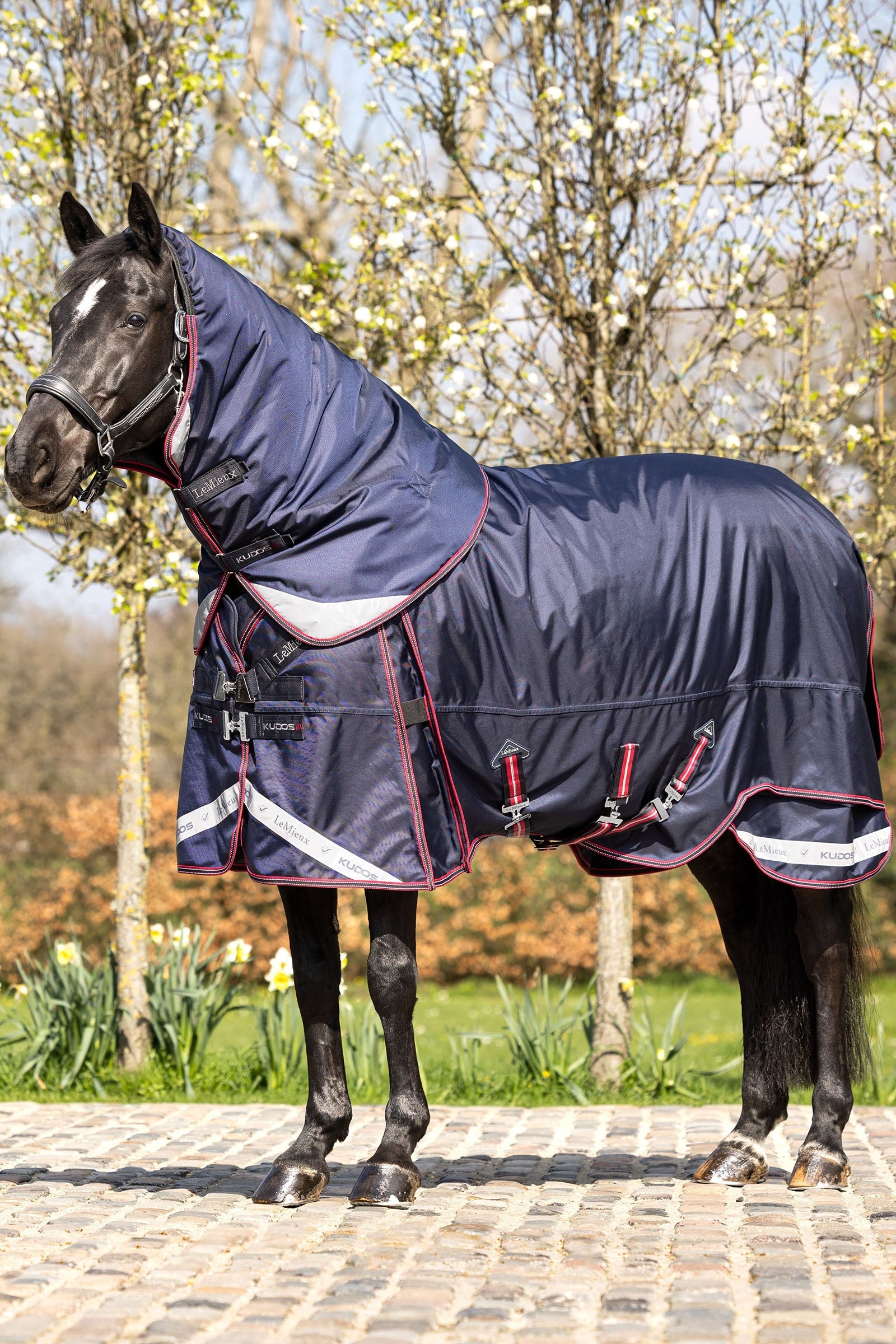 LeMieux Kudos Thermo Layer Turnout Rug 100g Horse Rugs