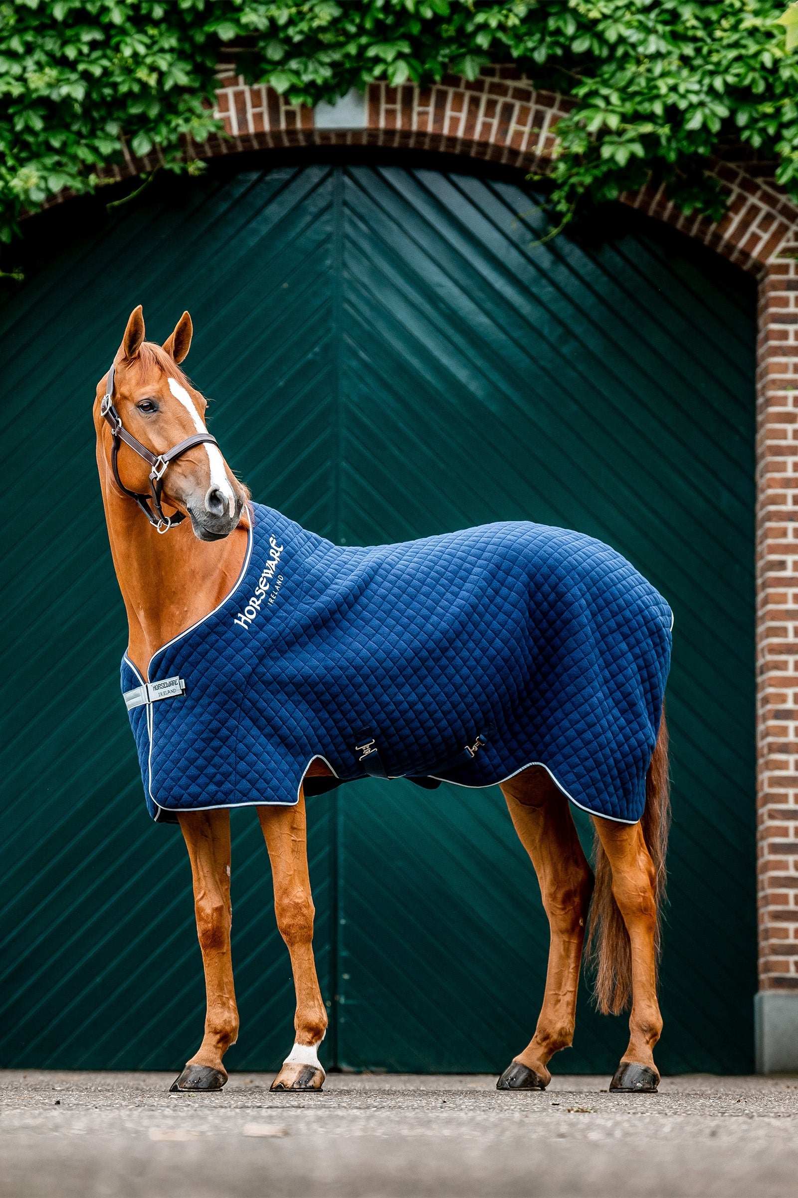 Horseware Autumn cooler Paardendekens
