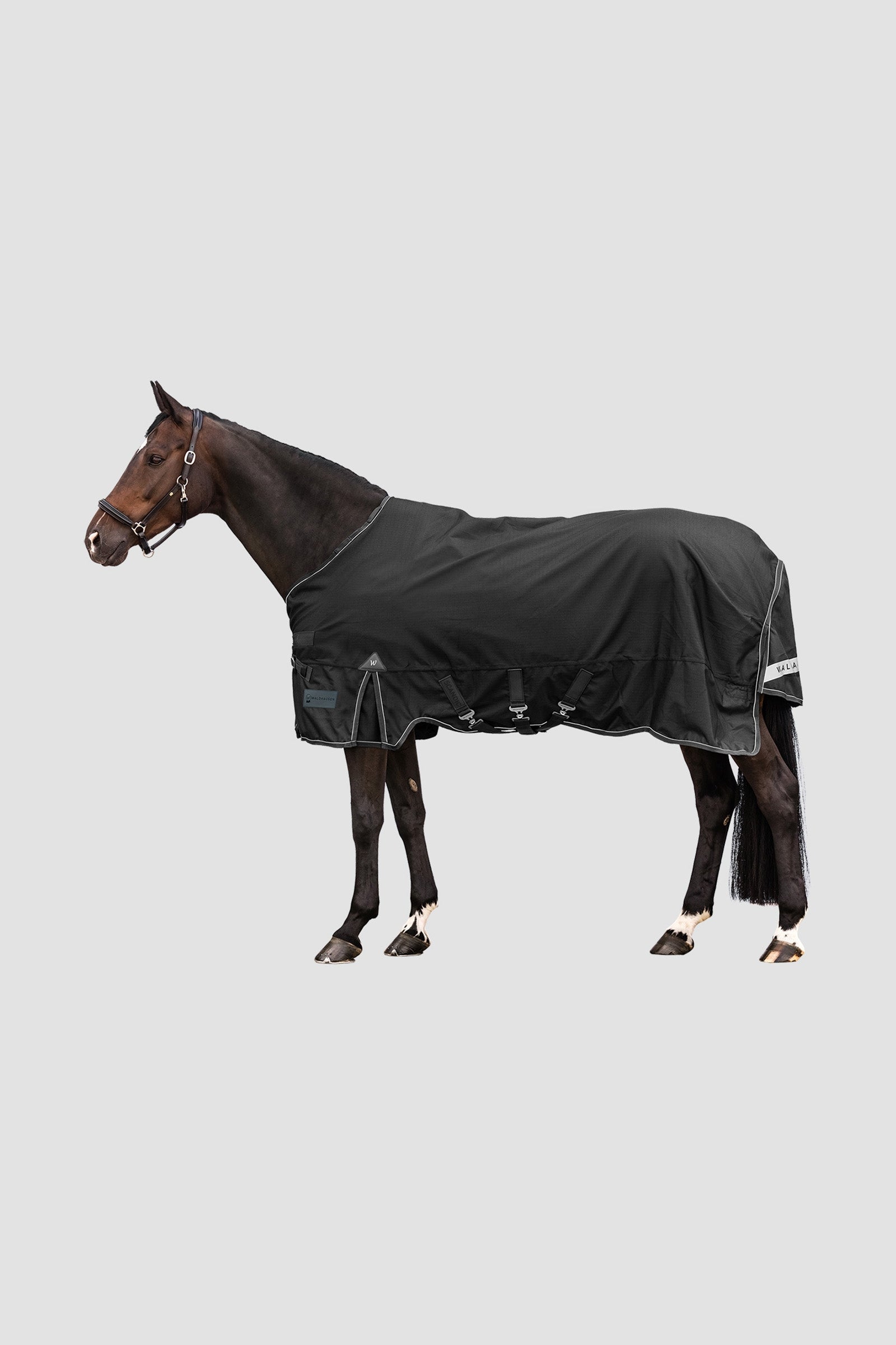 Waldhausen Outdoor Rug Scandic 300 g Paardendekens