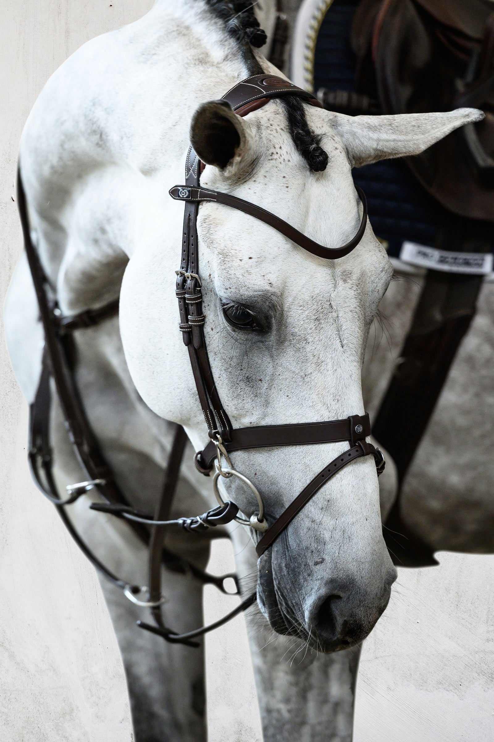 PS of Sweden London Bridle Bridles & Reins