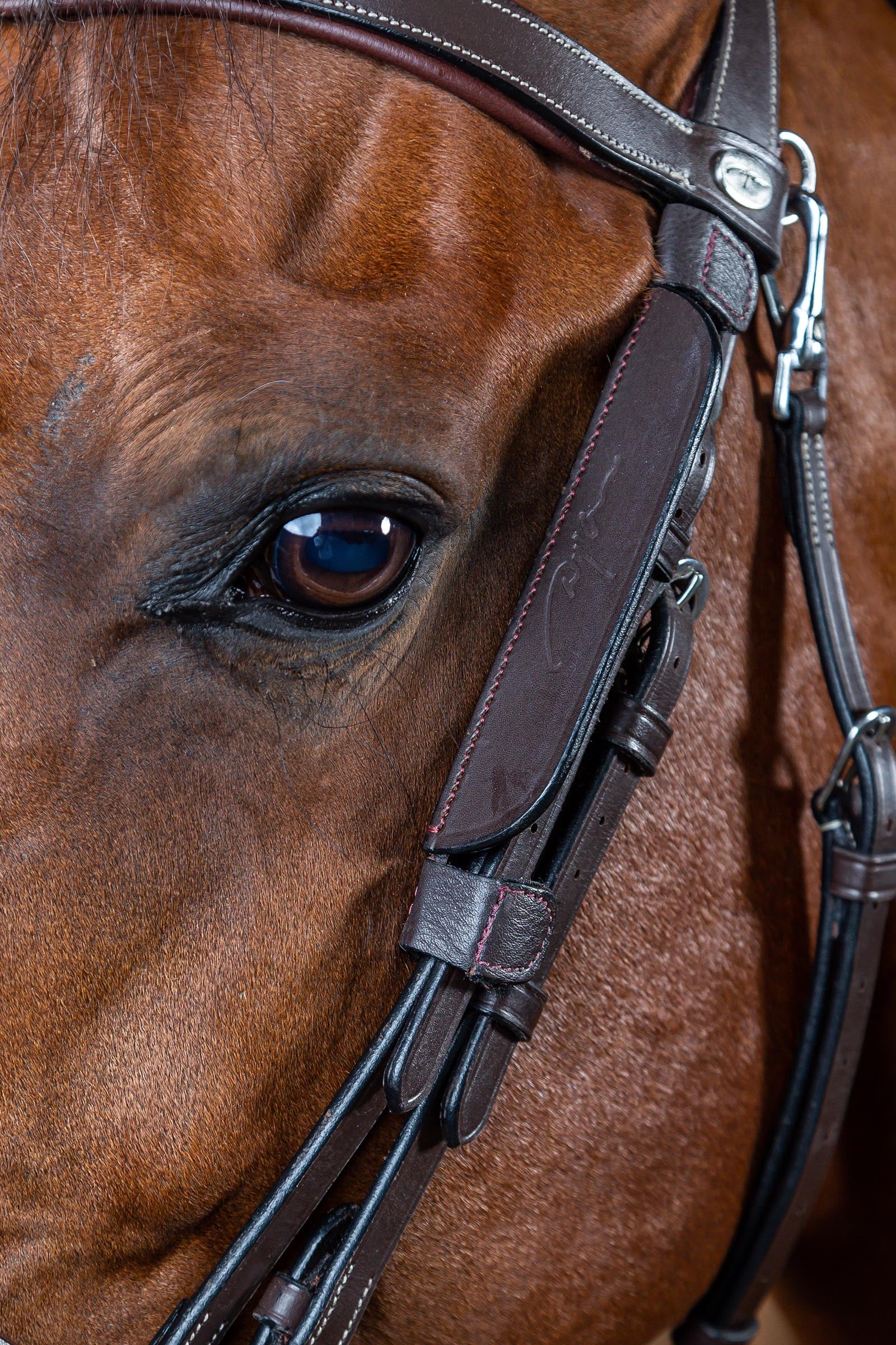 Dy'on Working Blinkers Bridles & Reins