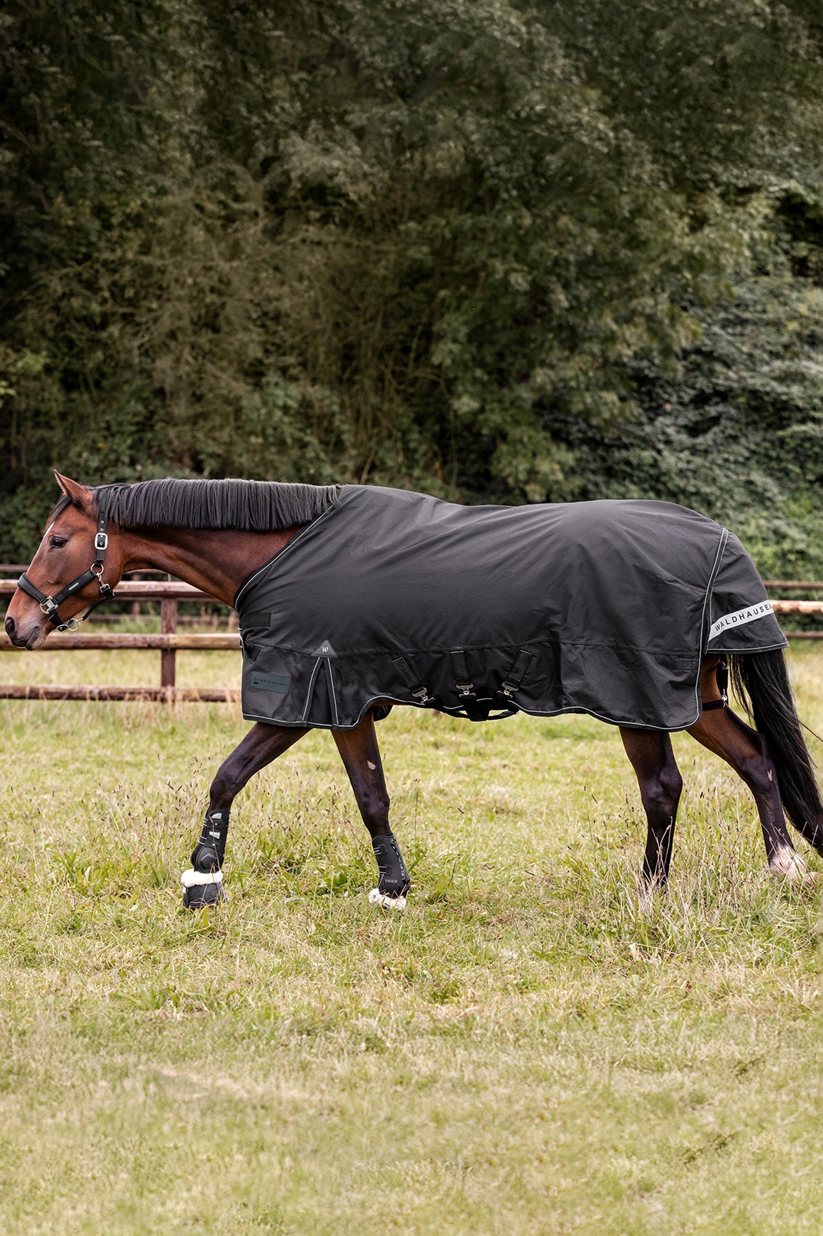Waldhausen Outdoor Rug Scandic Multi-Layer 150g/50g Horse Rugs