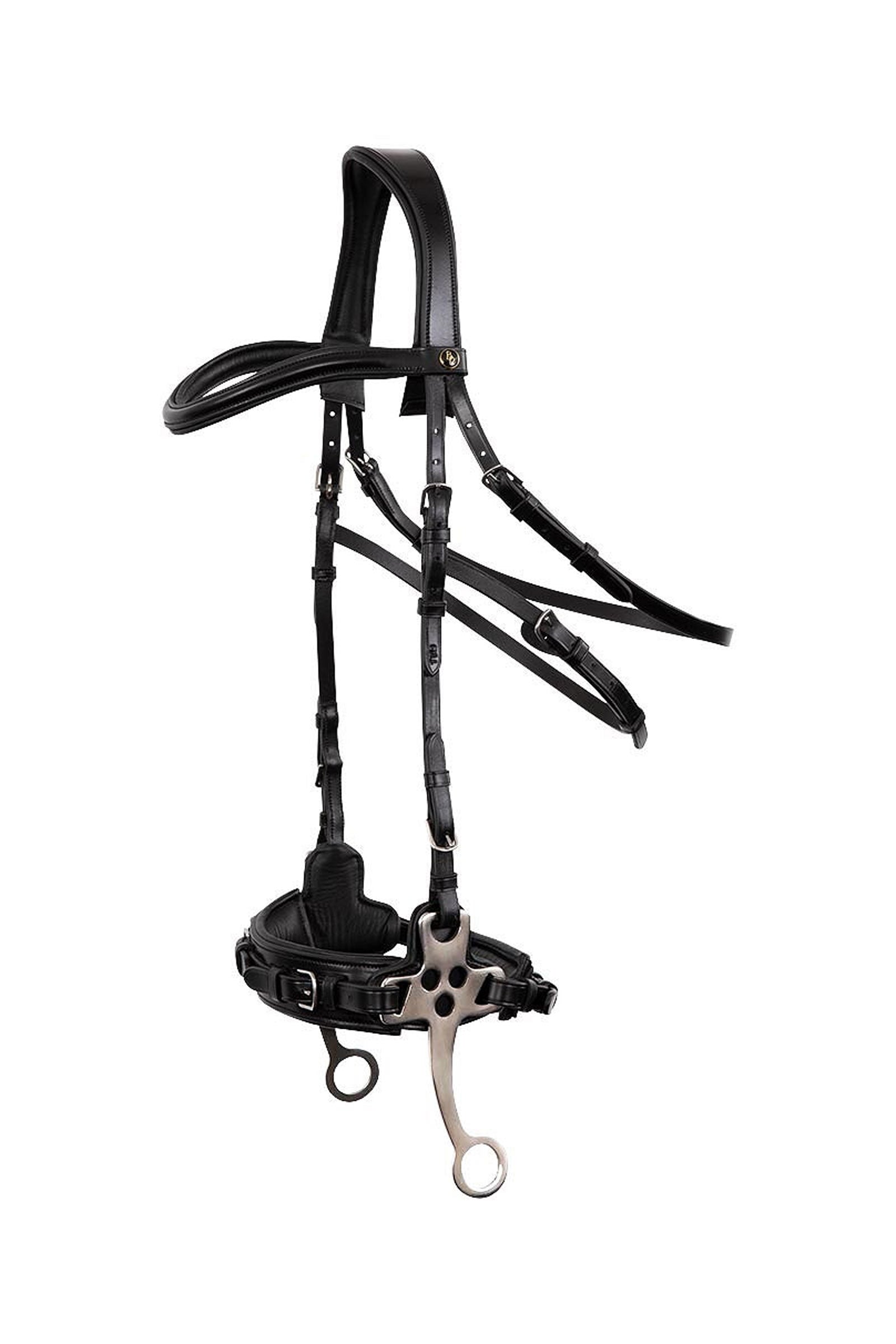 BR Lydney Anatomical Hackamore Bitten