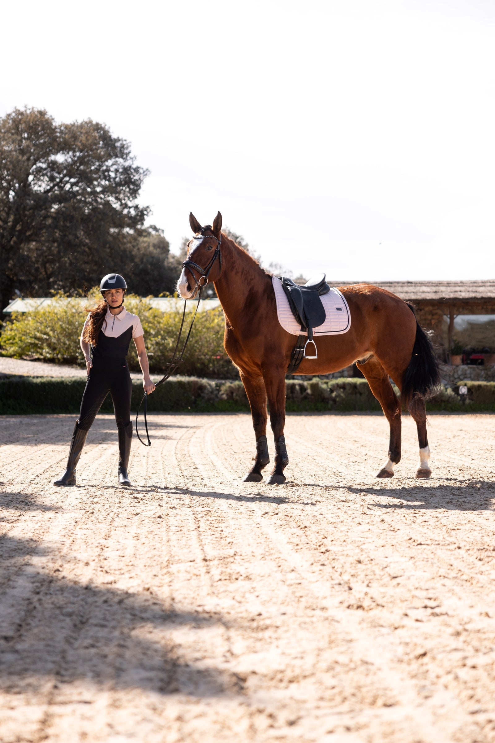 B Vertigo Giselle Women's Bi-color Polo Shirt Women’s Riding Clothing