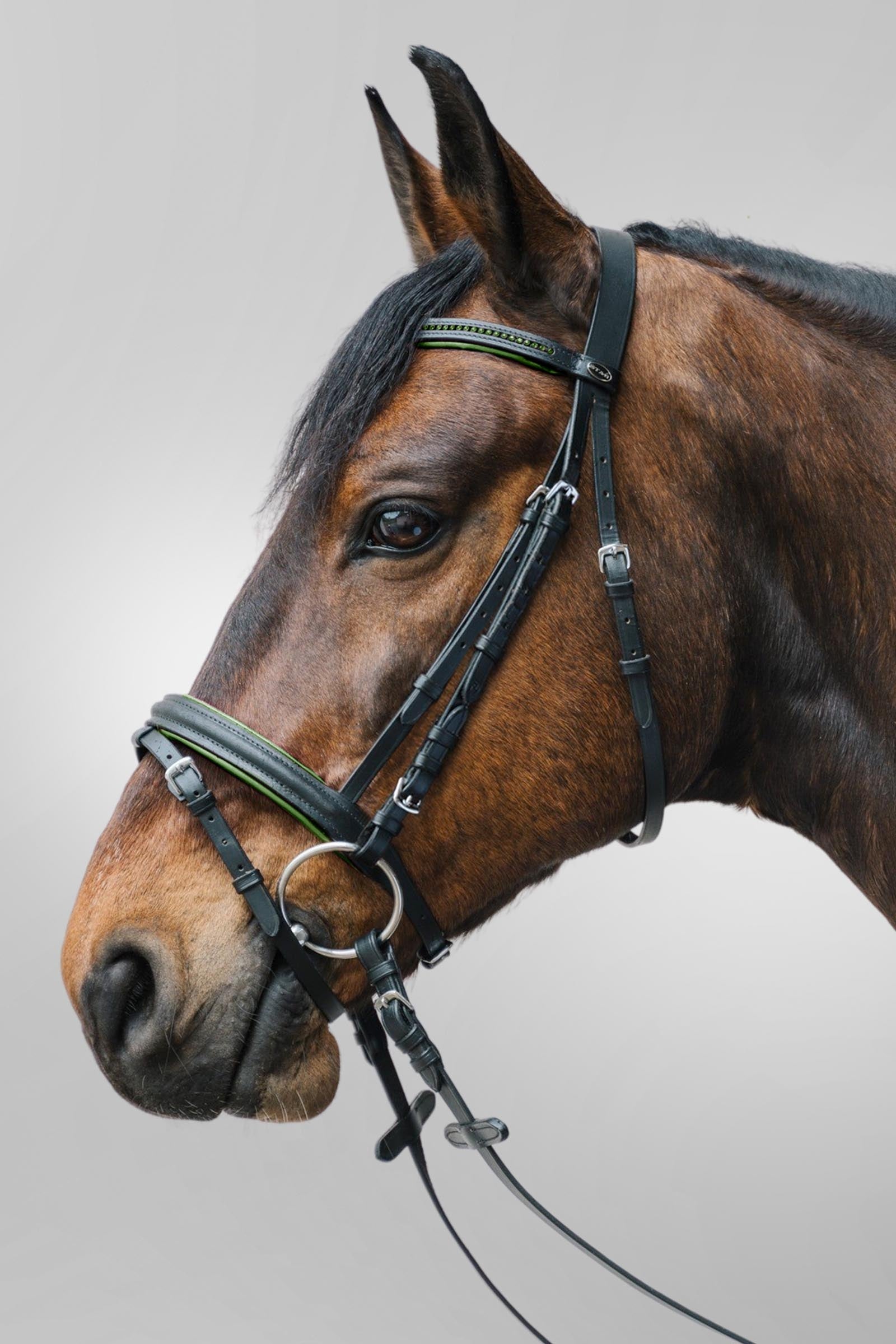Star Diamant Bridle With Combined Noseband Bridles & Reins