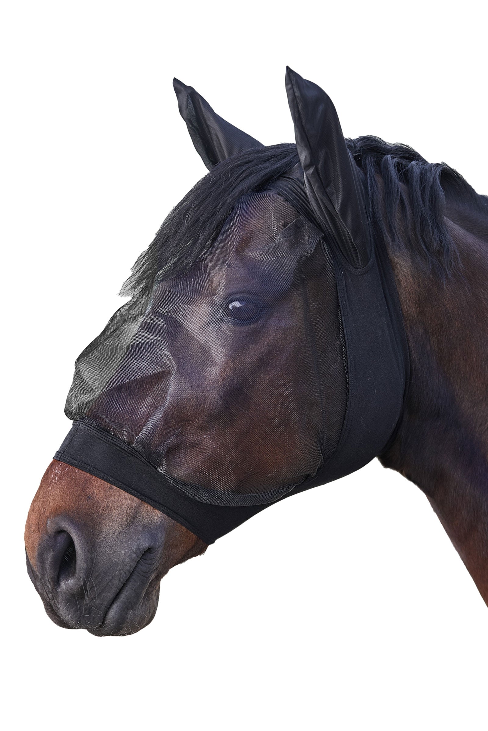 Waldhausen Skinny Fly Mask Antifly Protection for Horses