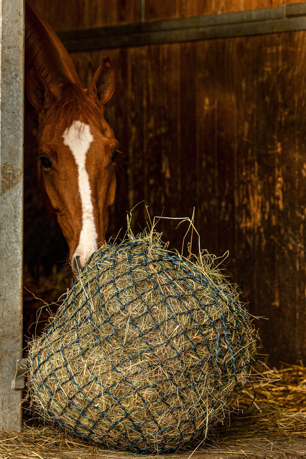 HIPPOTONIC ZARI Hooinet (105 cm), 5 x 5 mesh Voederen & Drinken