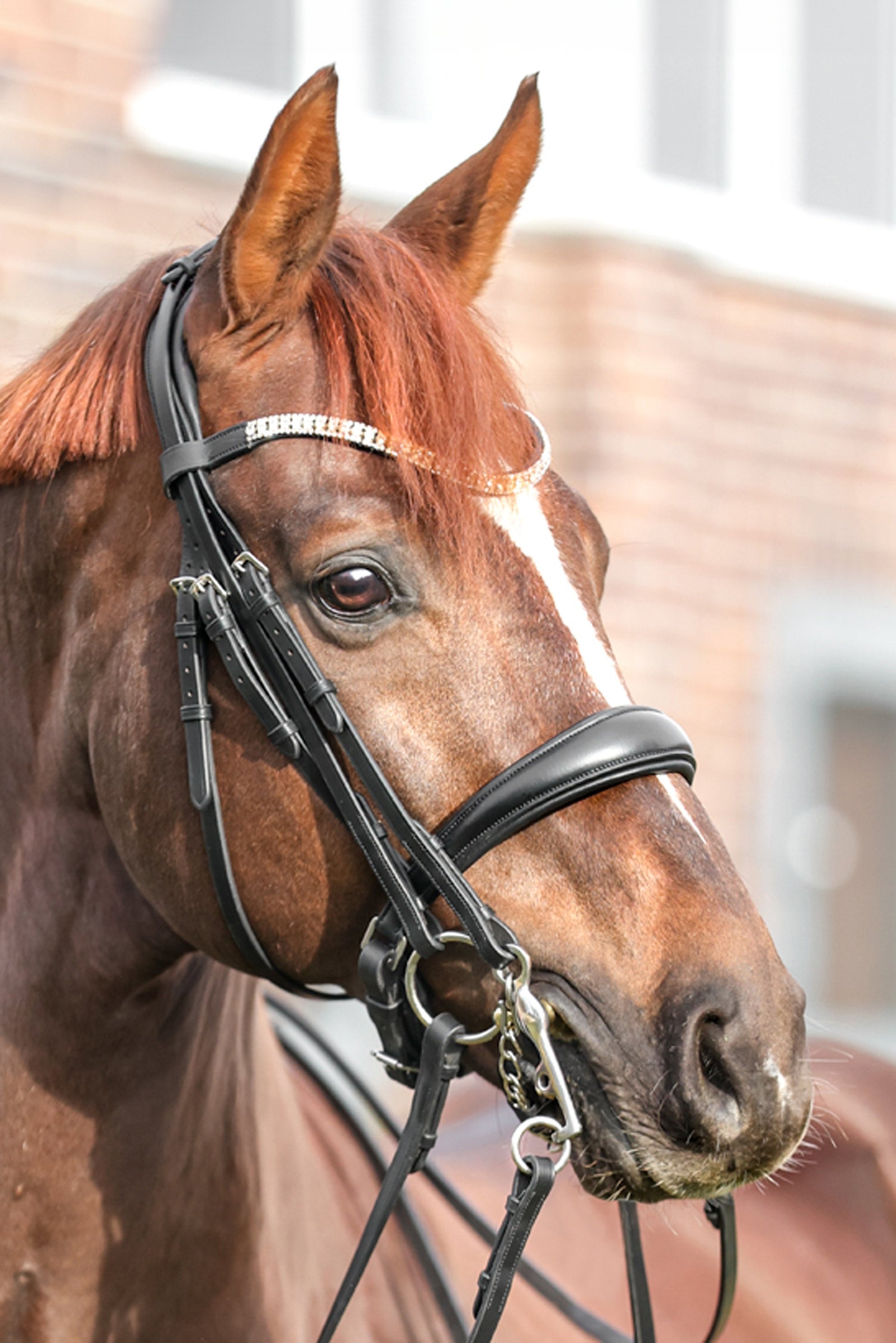 Kavalkade Sonya Weymouth Bridle Hoofdstellen & Teugels