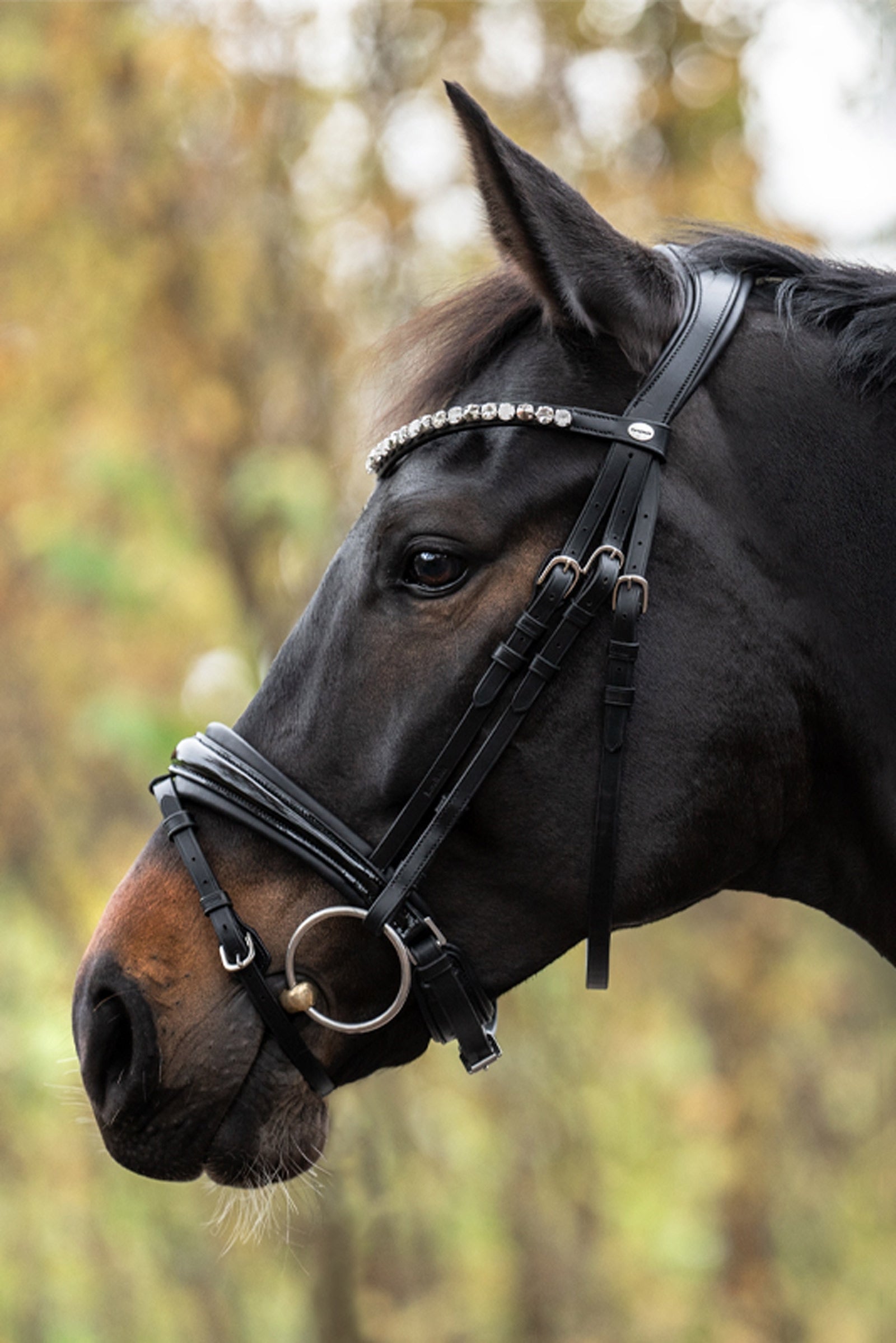 Kavalkade Zora Crank Bridle With Flash Bridles & Reins