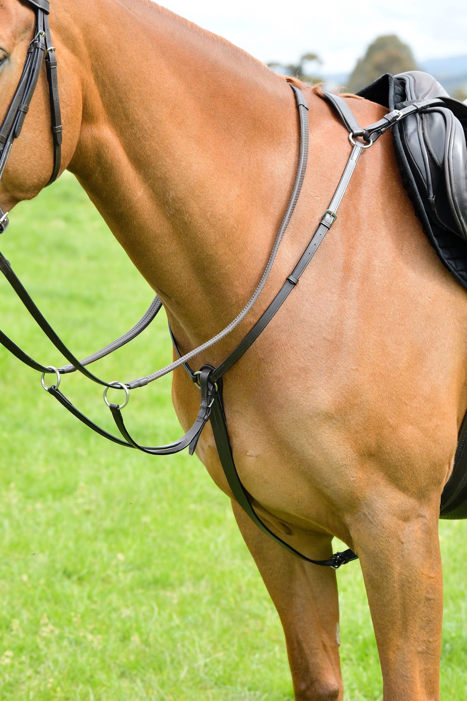 Kincade Classic 3-punts borsttuig met lopende martingaal Hoofdstellen & Teugels