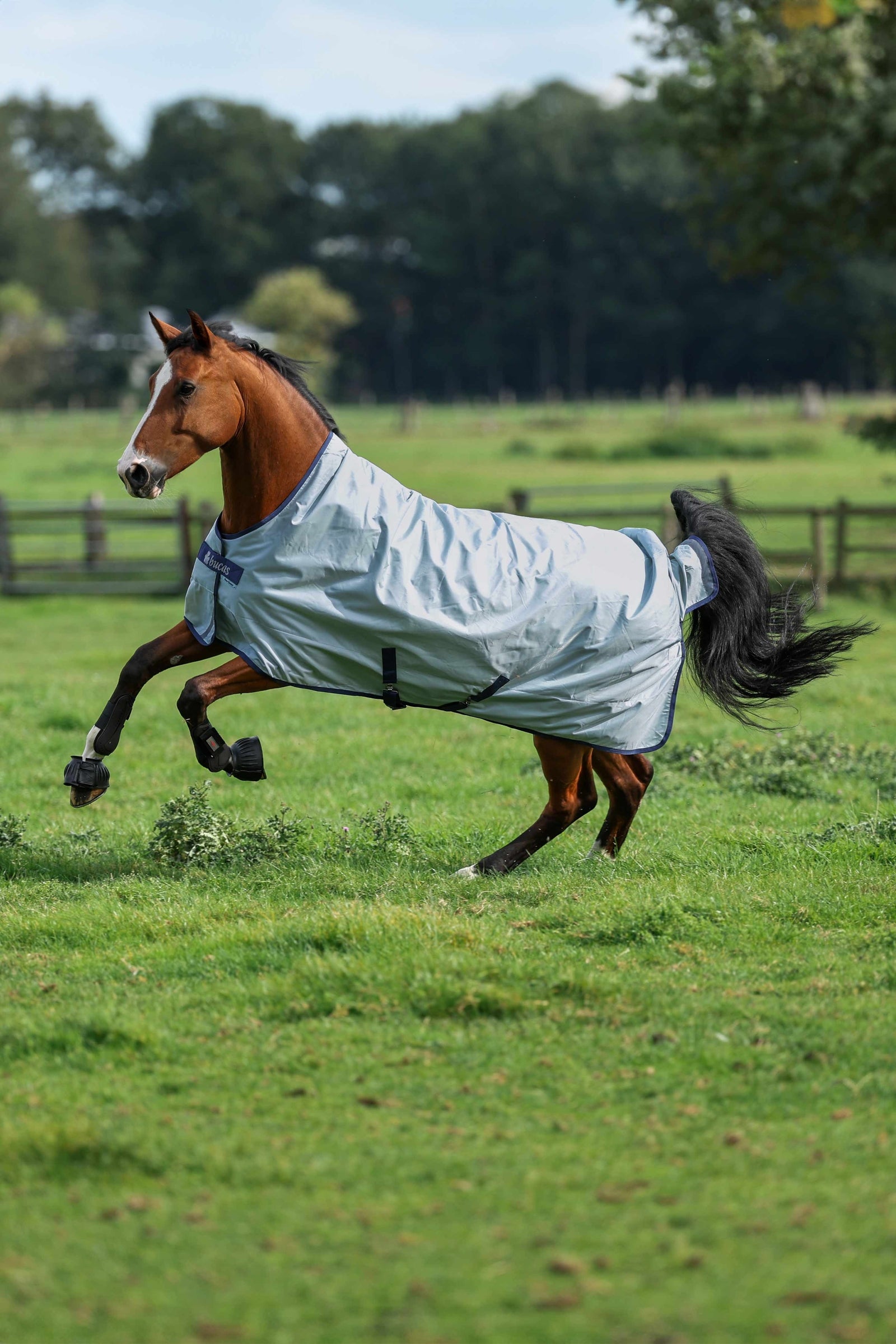 Bucas Power Light dækken med høj hals, 0 g Paardendekens
