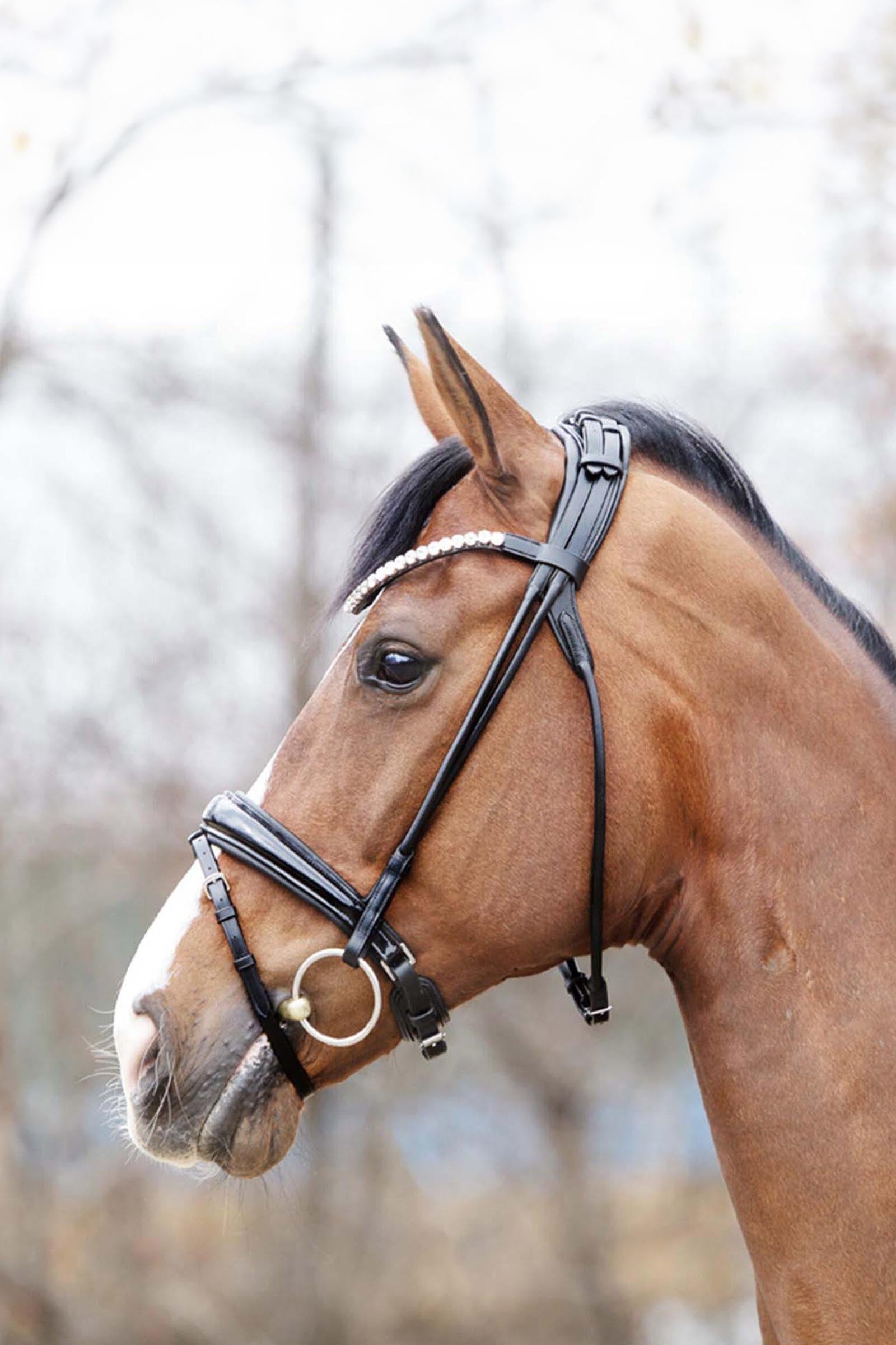 Kavalkade Florina Patent Leather Bridle With Crank Noseband Bridles & Reins