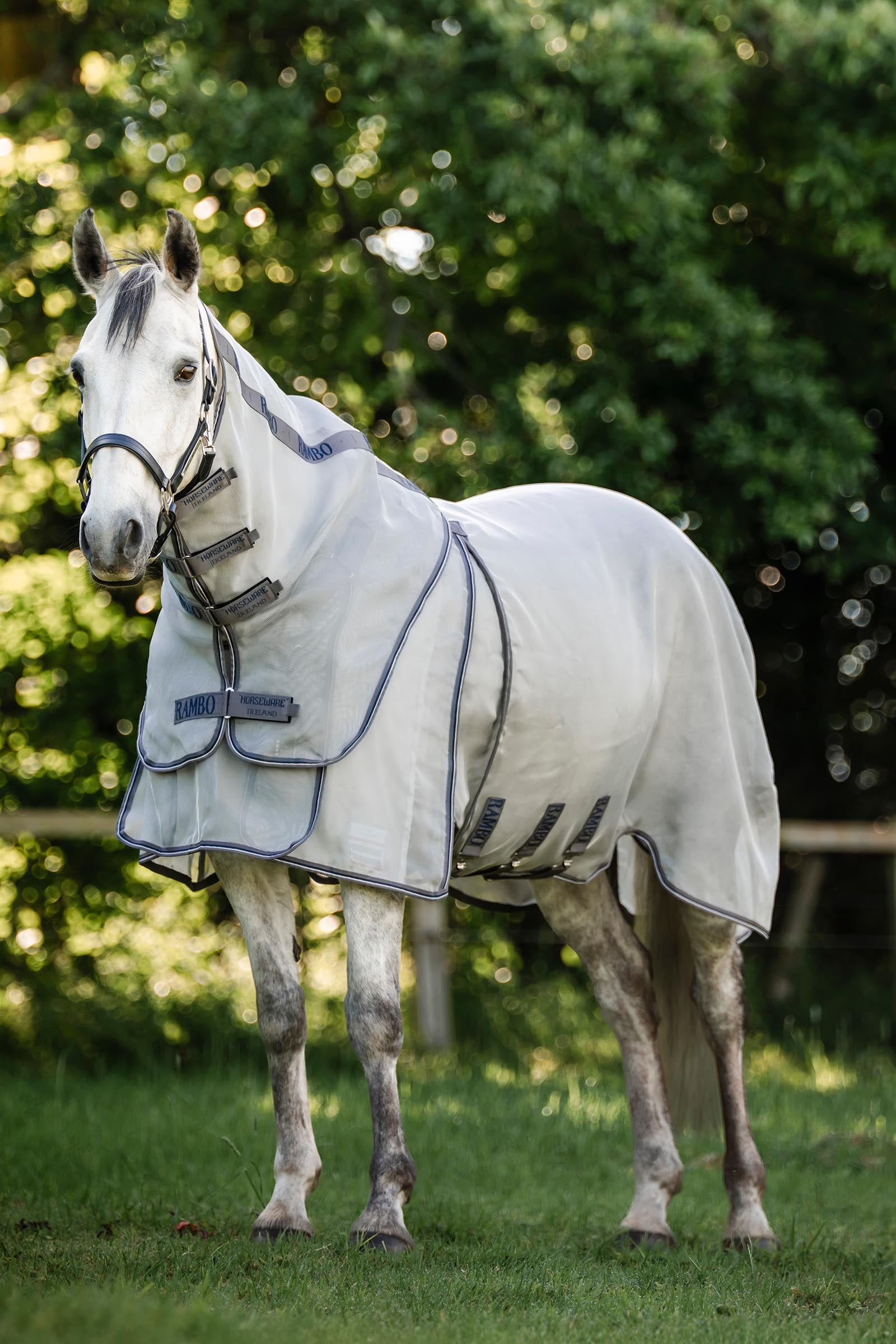 Horseware Rambo Optimo Protector Plus regendeken Paardendekens