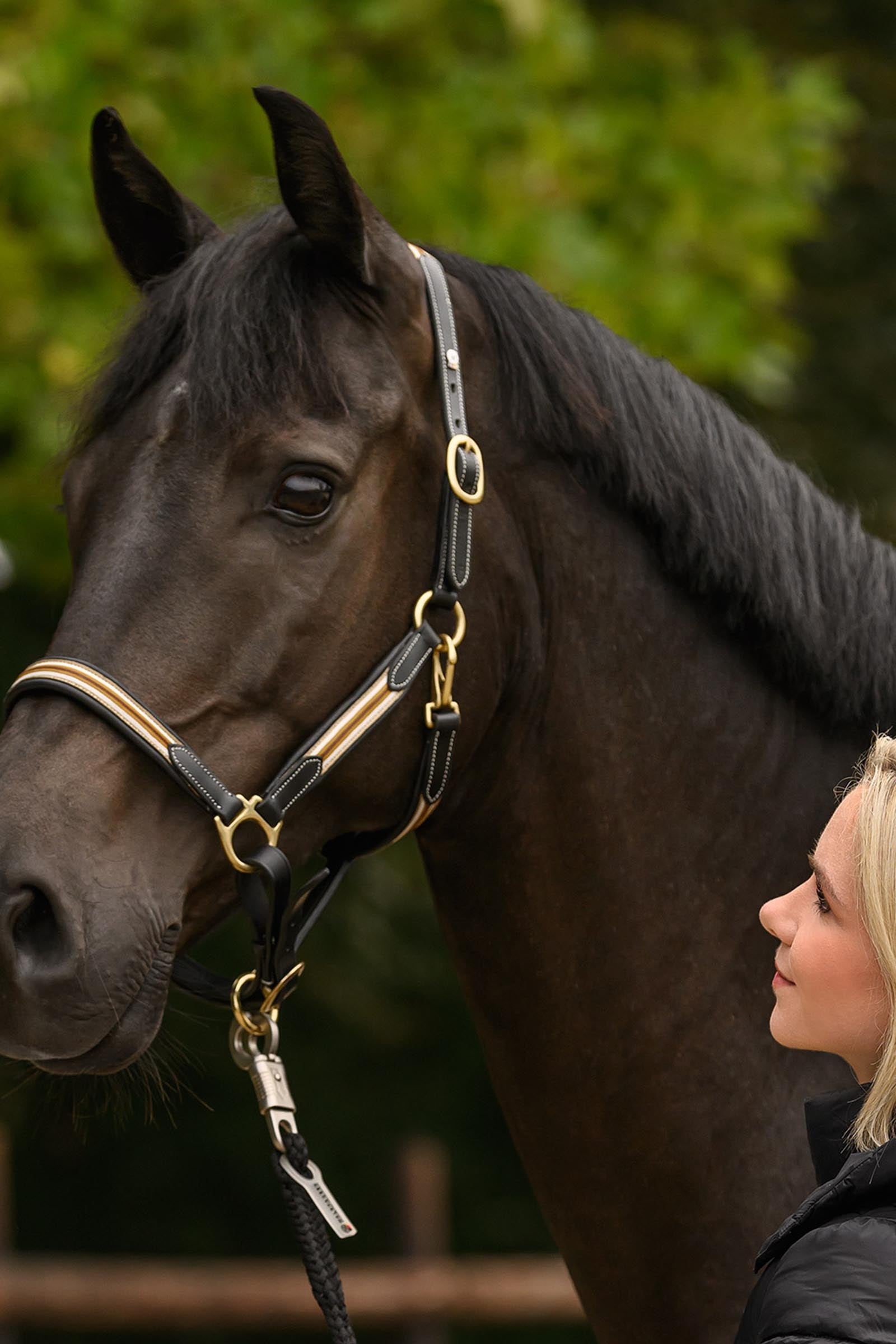 Waldhausen X-Line Oxford Leather Halter Halters & Leads