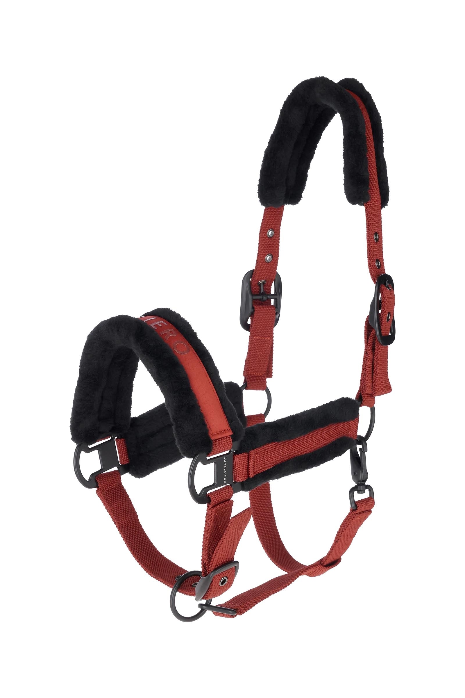 Covalliero Gewatteerd Halster Halsters & Halstertouwen