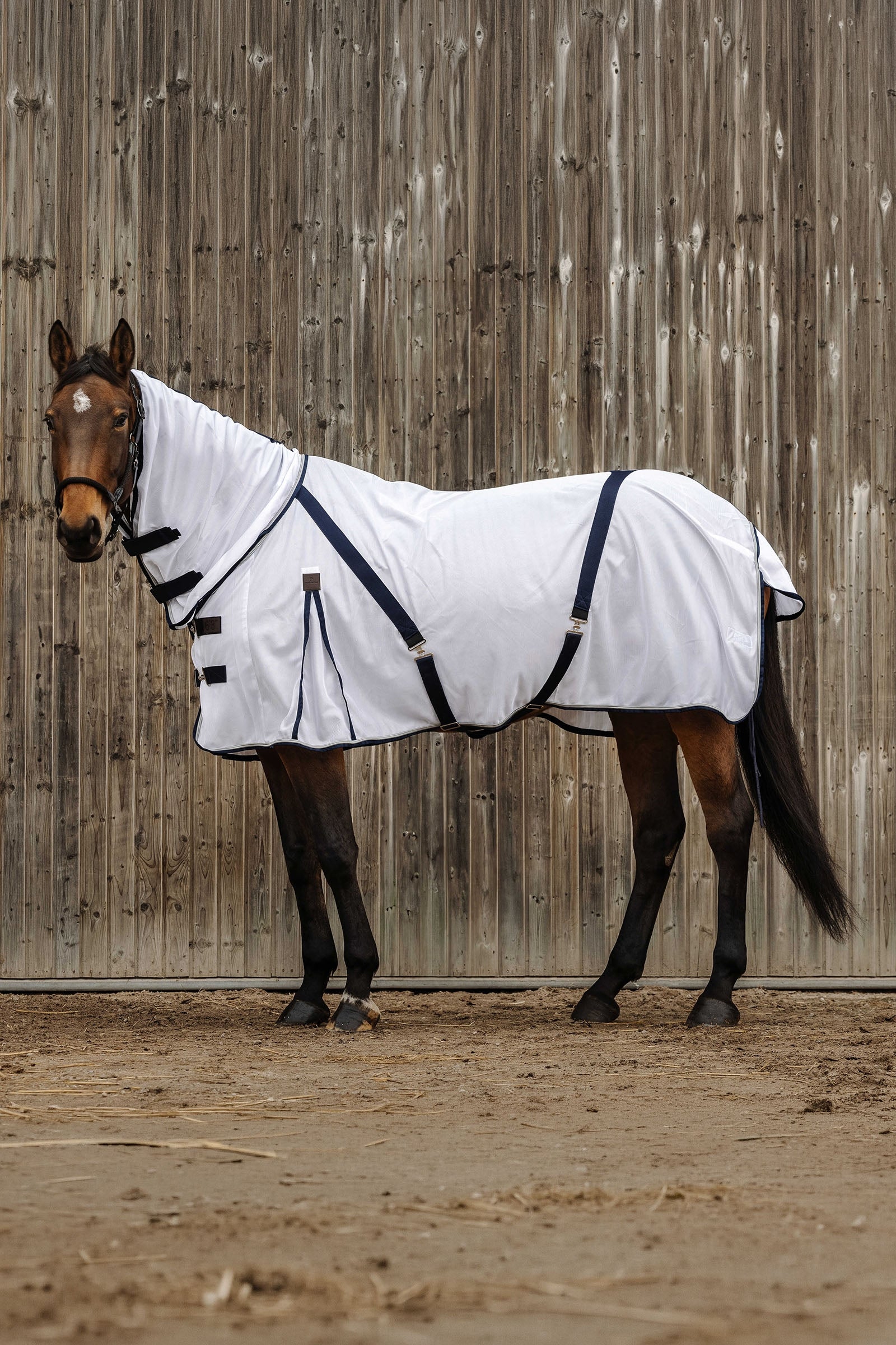 EQUITHÈME Mesh combo vliegendeken Paardendekens