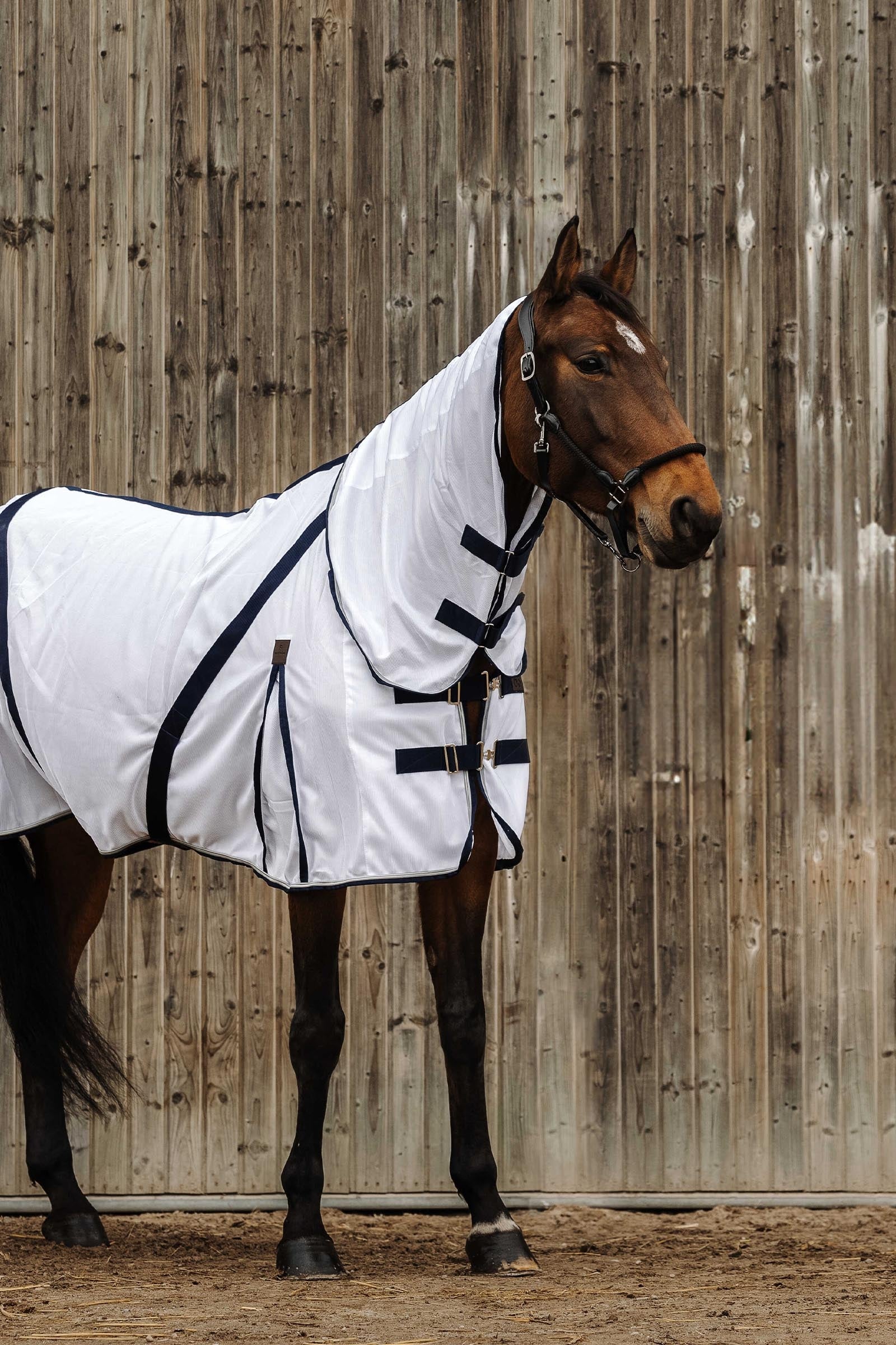 EQUITHÈME Mesh Combo Anti-Insect Sheet Horse Rugs