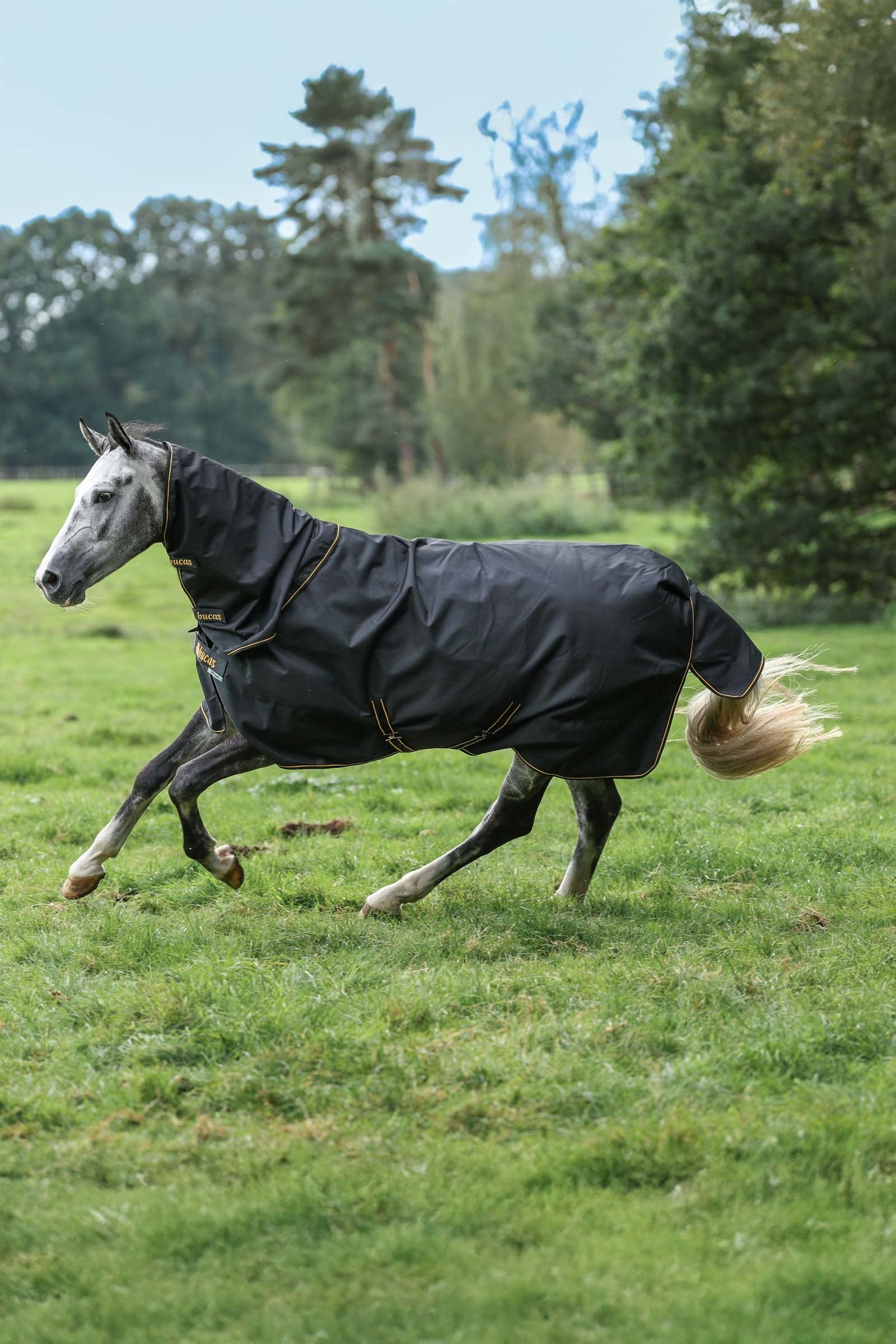 Bucas Irish Turnout 150 g Rug & Neck Set Paardendekens