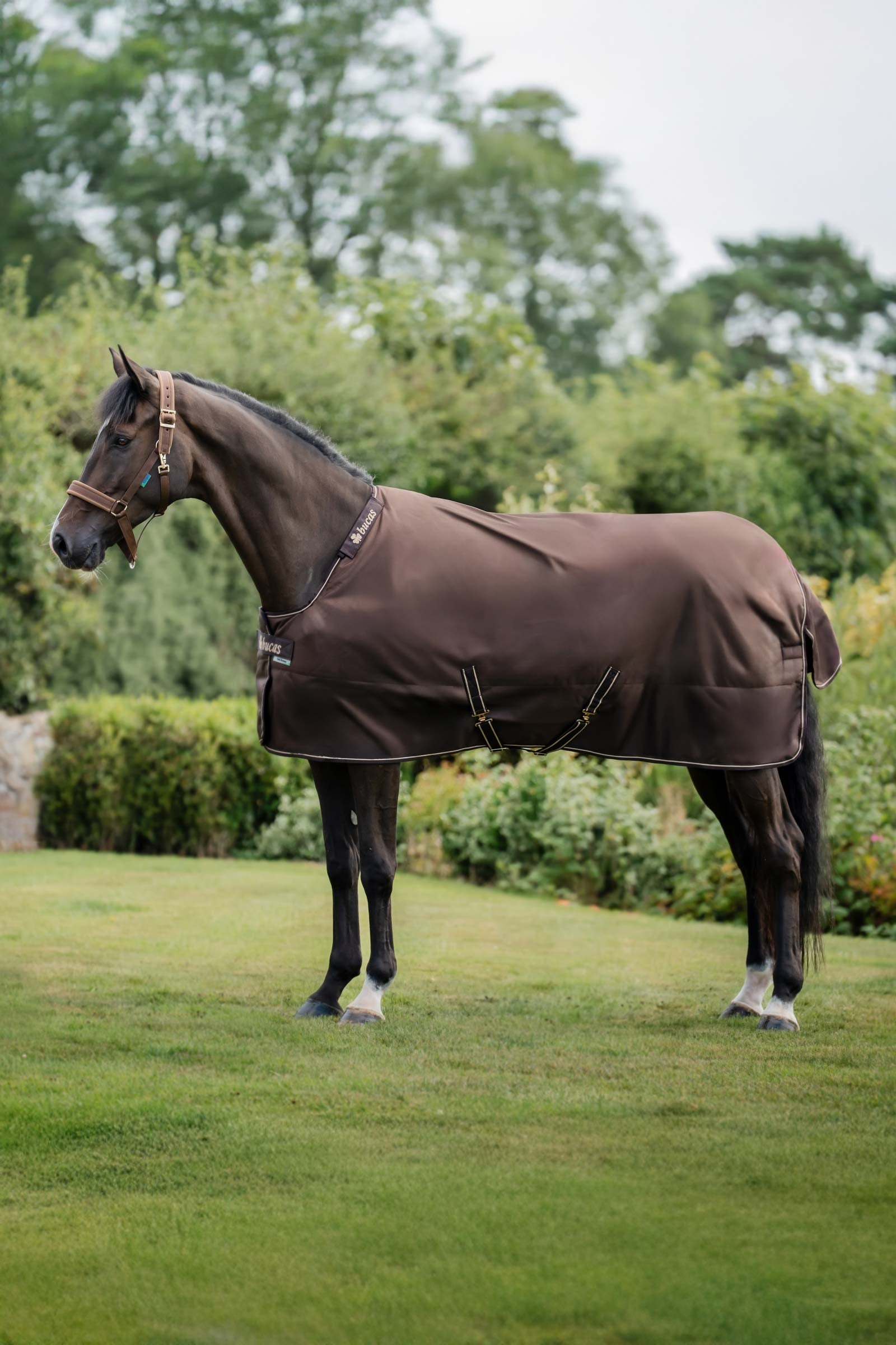 Bucas Irish Turnout 150 g Rug & Neck Set Paardendekens