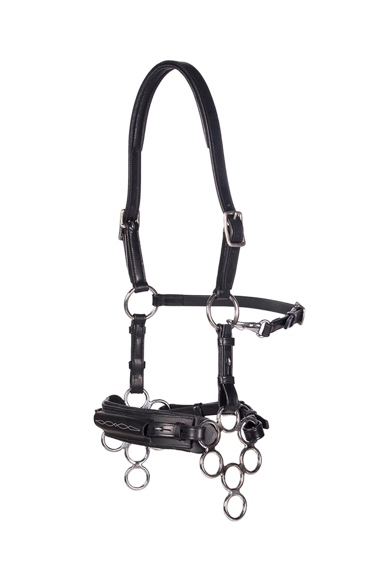 F.R.A. Freedom Riding Articles Aram Hackamore (System 2) Leather, Jaw Straps, w/ Scissors Bridles & Reins