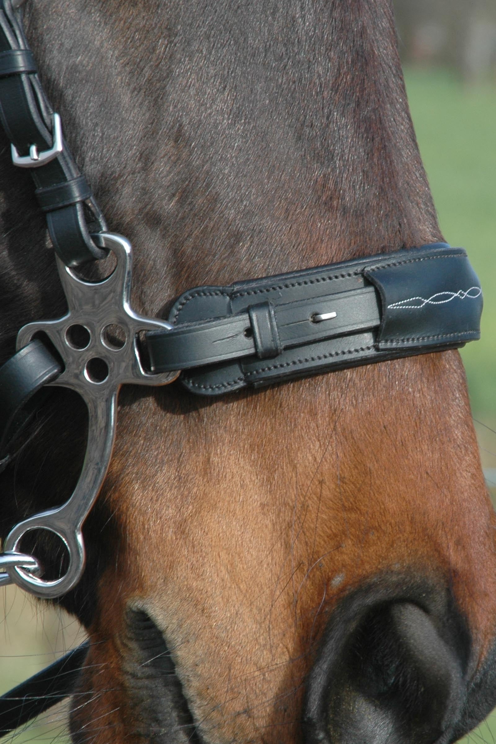 F.R.A. Freedom Riding Articles Aram Hackamore (System 2) Leather, Jaw Straps, w/ Scissors Bridles & Reins