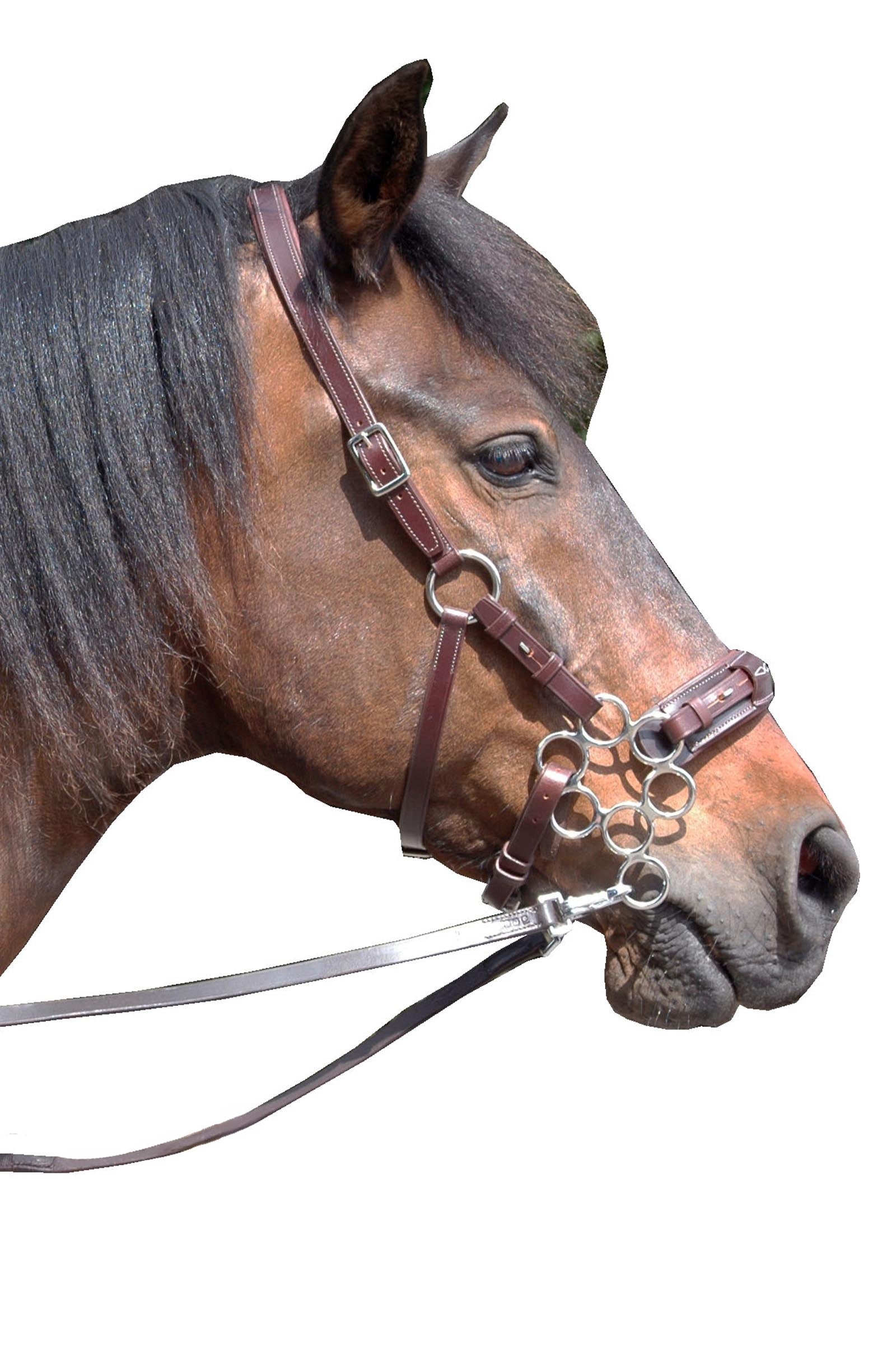 F.R.A. Freedom Riding Articles Aram Hackamore (System 2) Leather, Jaw Straps, w/ Scissors Bridles & Reins