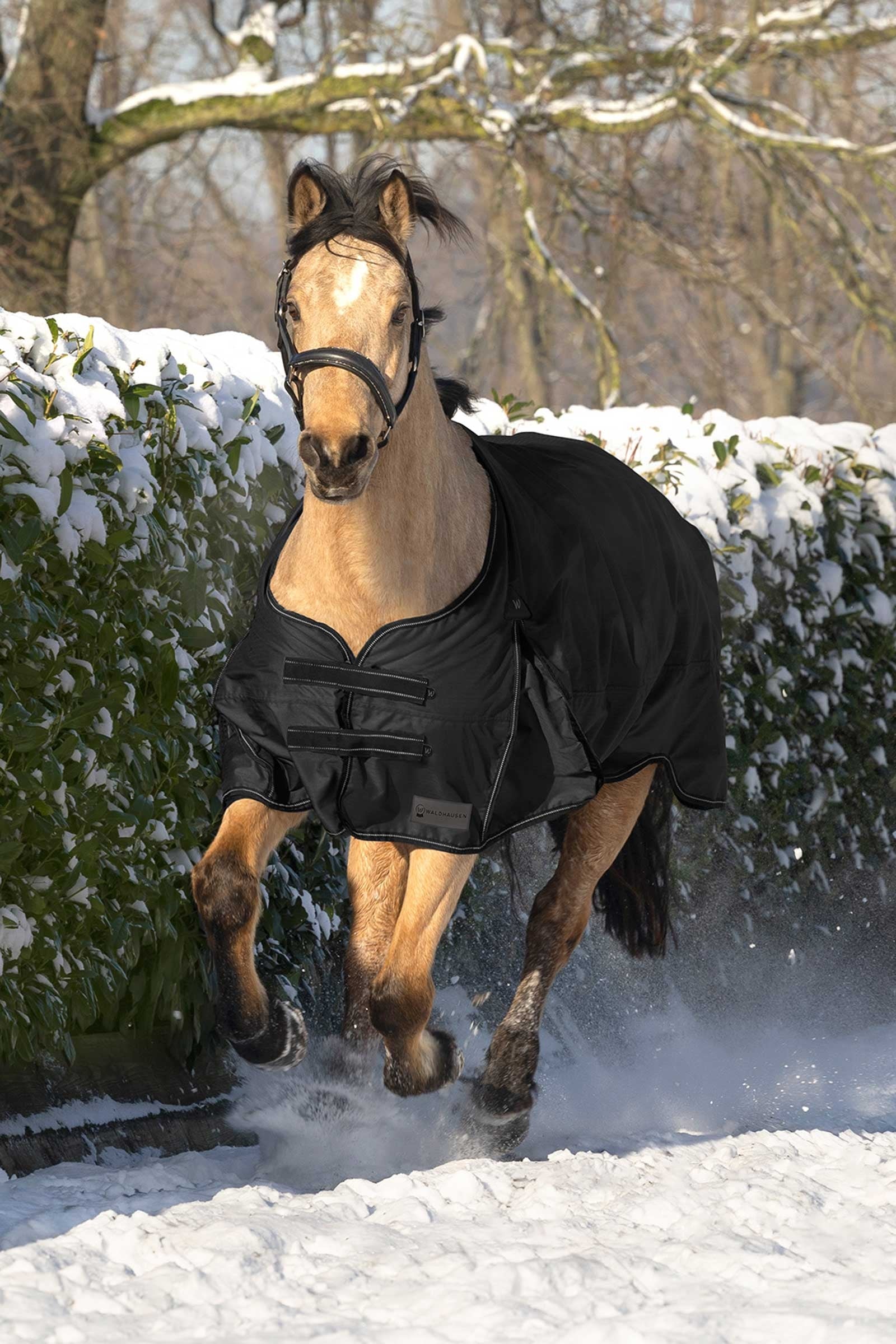 Waldhausen Arctic Turnout Rug, 50 g Horse Rugs