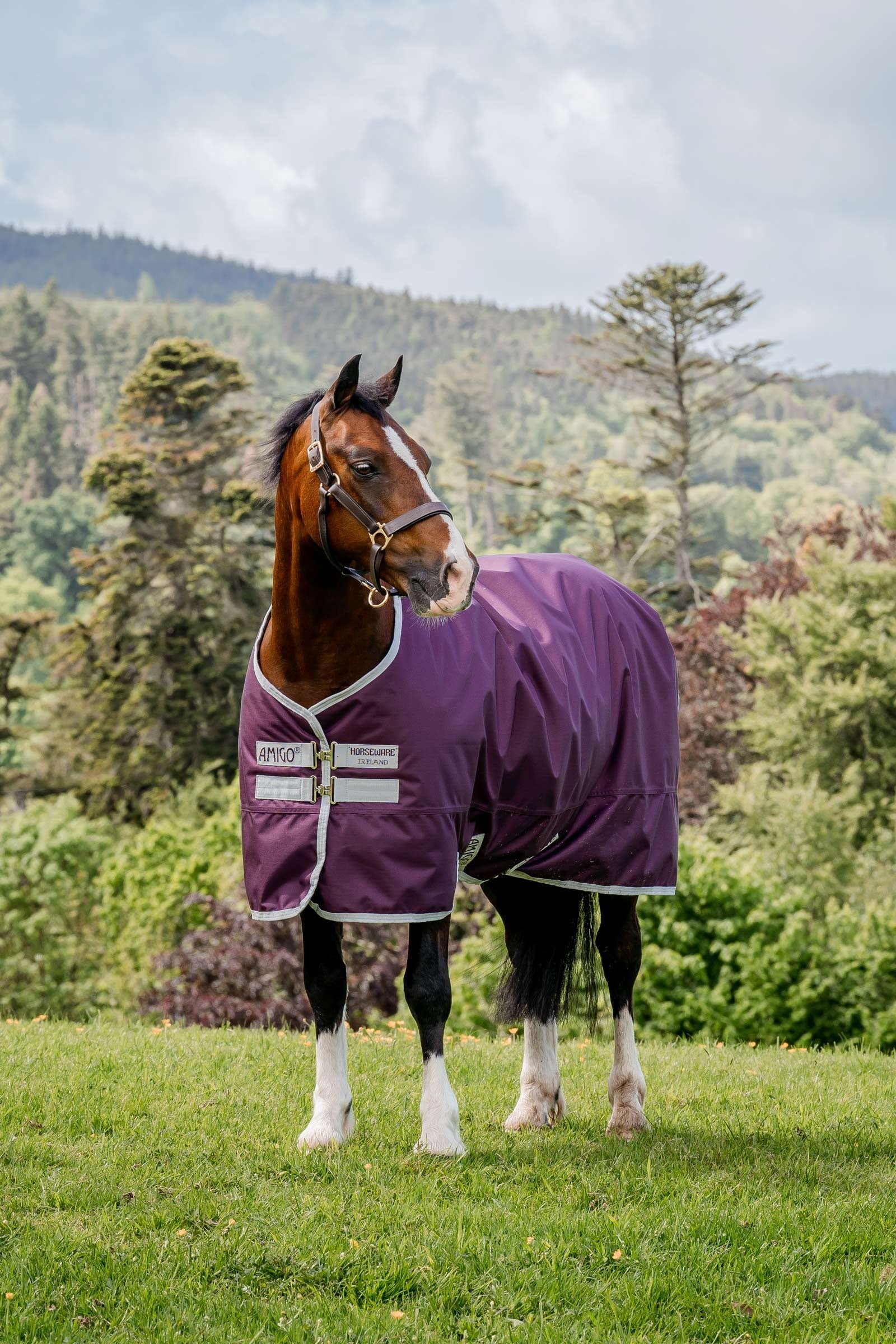 Horseware Amigo Hero Ripstop Turnout Rug, 50g Horse Rugs