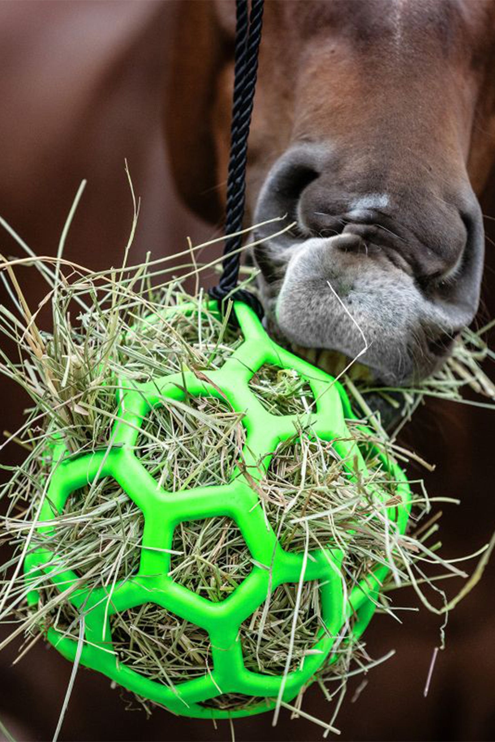 Waldhausen Hooibol Voederen & Drinken