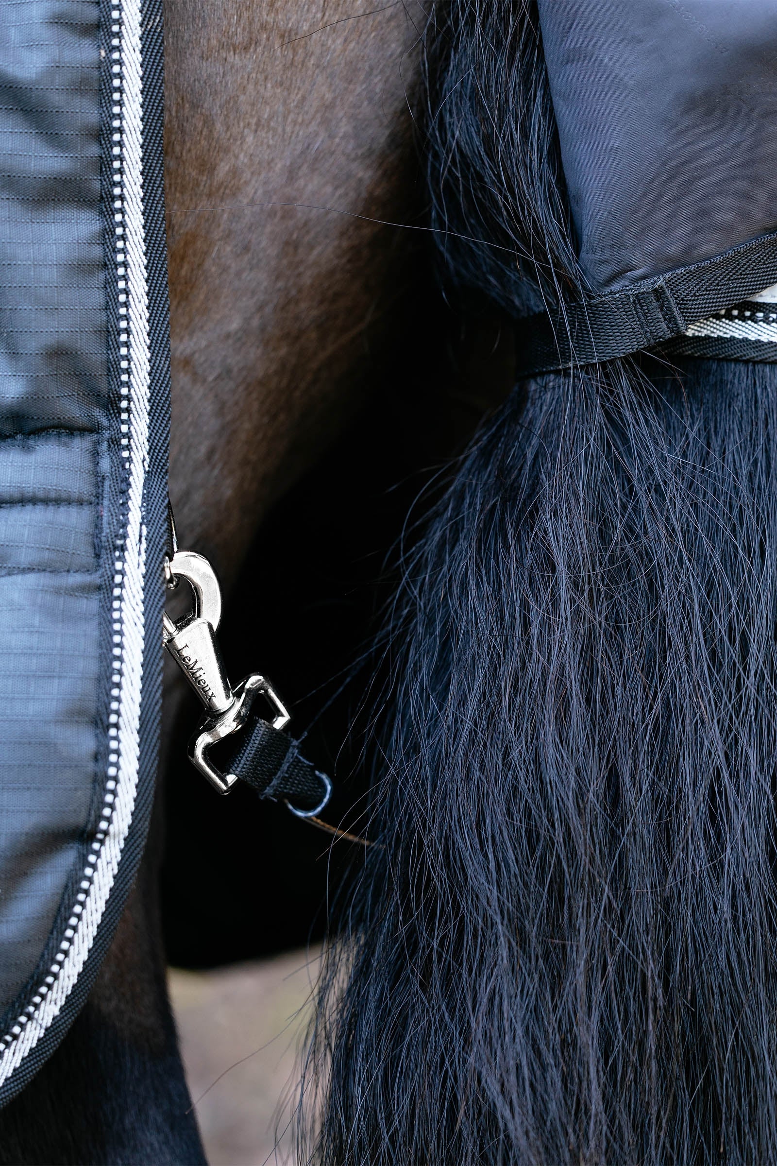 LeMieux Arika Reflective Turnout Rug With Detachable Neck, 200 g Horse Rugs