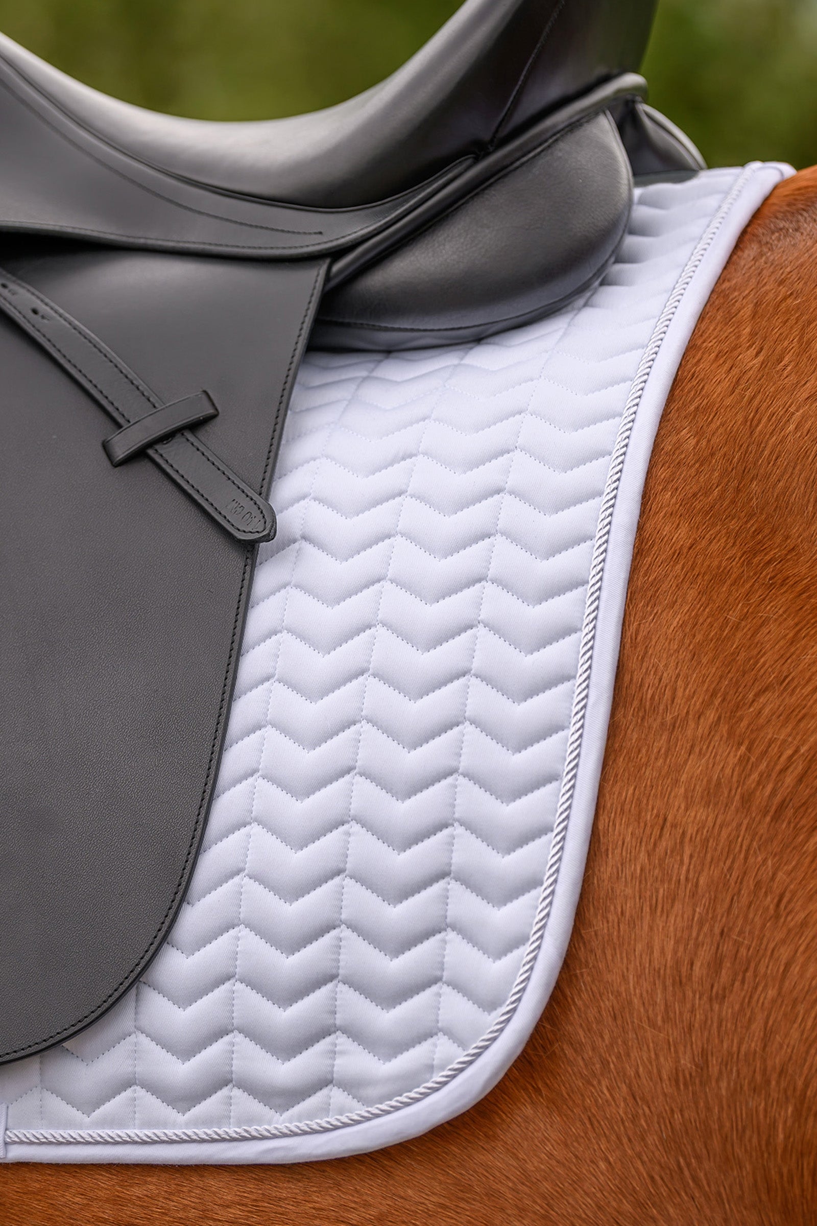 Waldhausen Classic Dressage Saddle Pad Saddle Pads