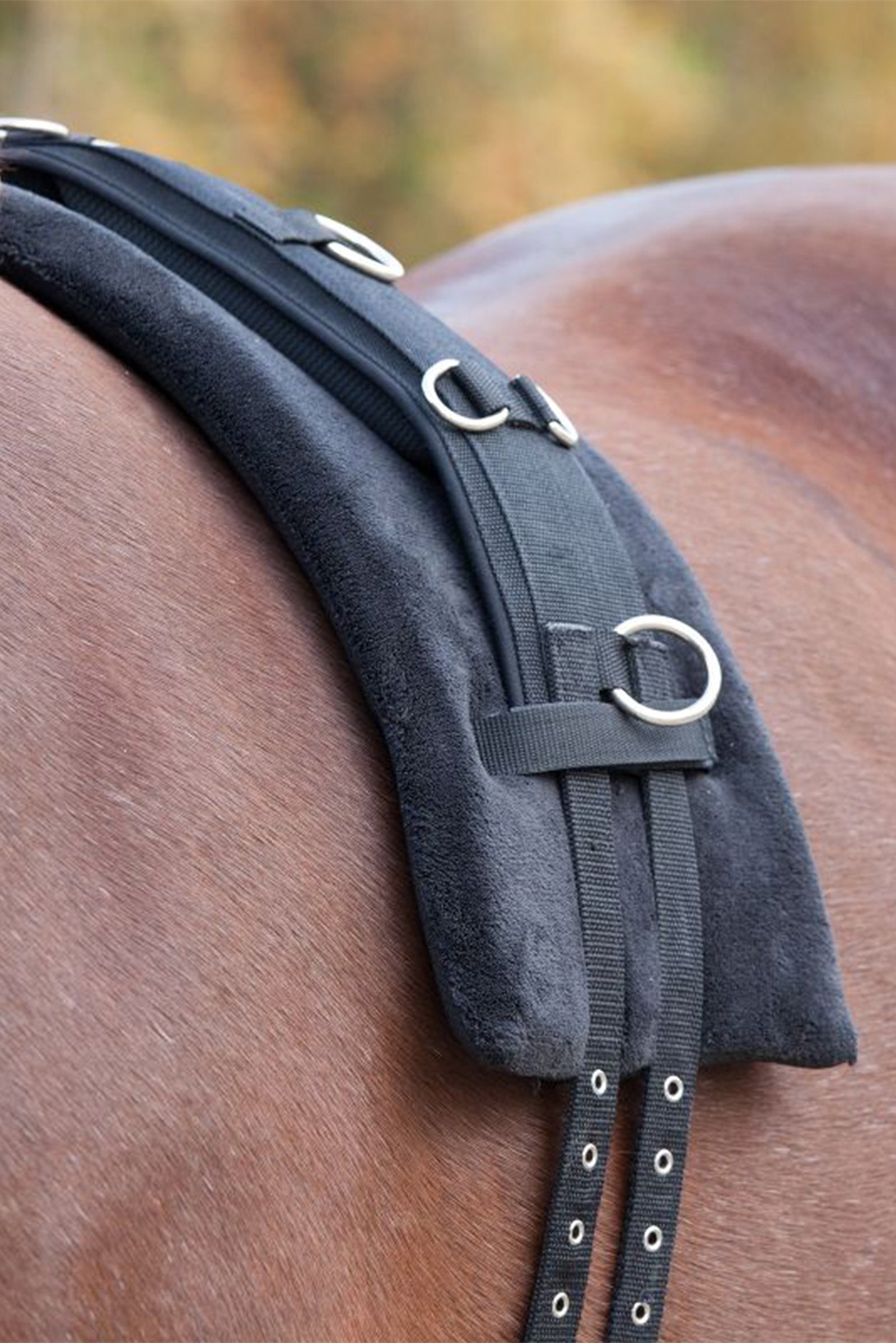 Waldhausen Memory Foam singeldek Longeren & Longeerhulp