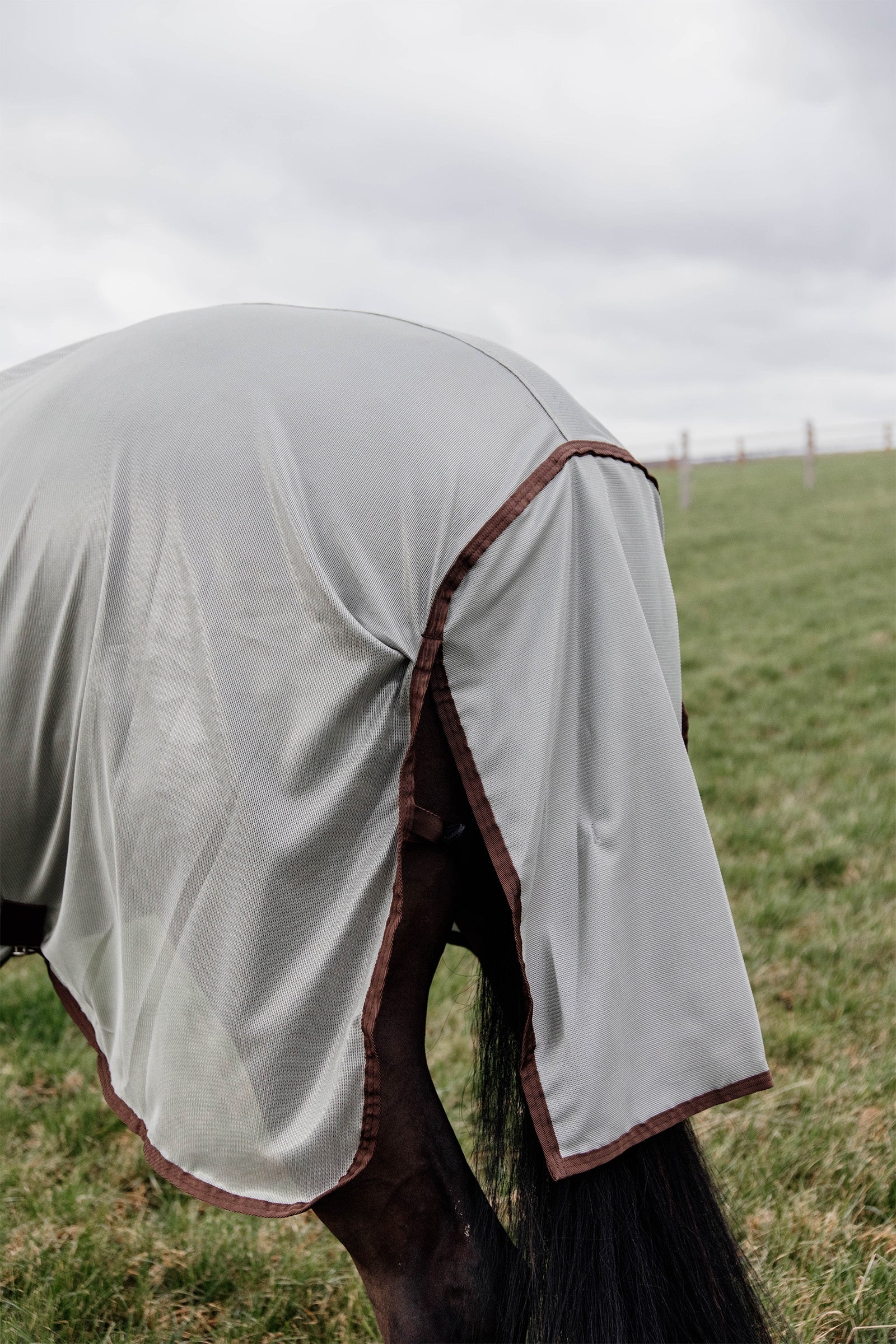 Kentucky Horsewear Classic Mesh Fly Rug Horse Rugs