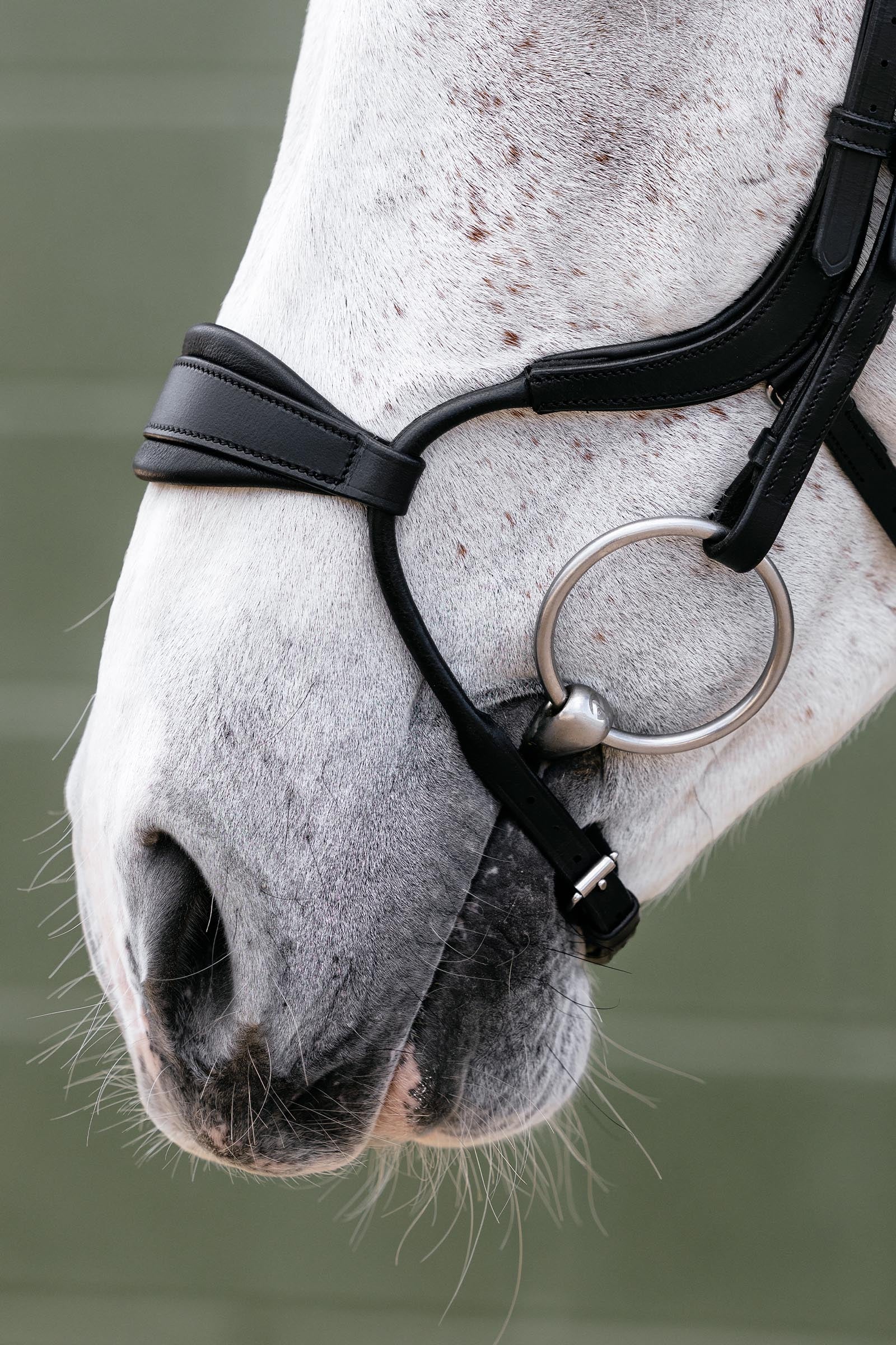 LeMieux Arika Adjustable Anatomic Nose Bridle Bridles & Reins