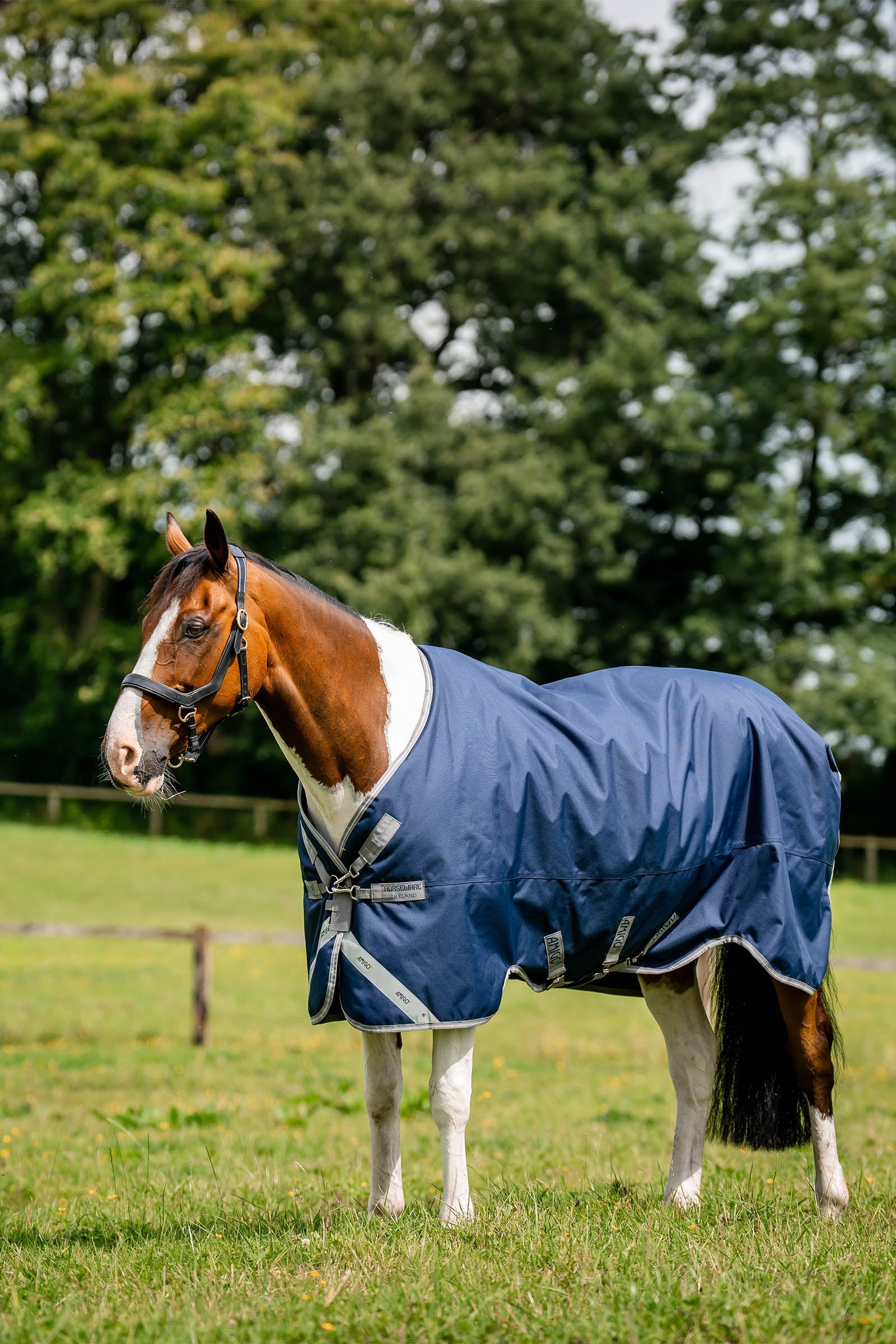 Horseware Amigo 1200D regendeken, 50 g Paardendekens