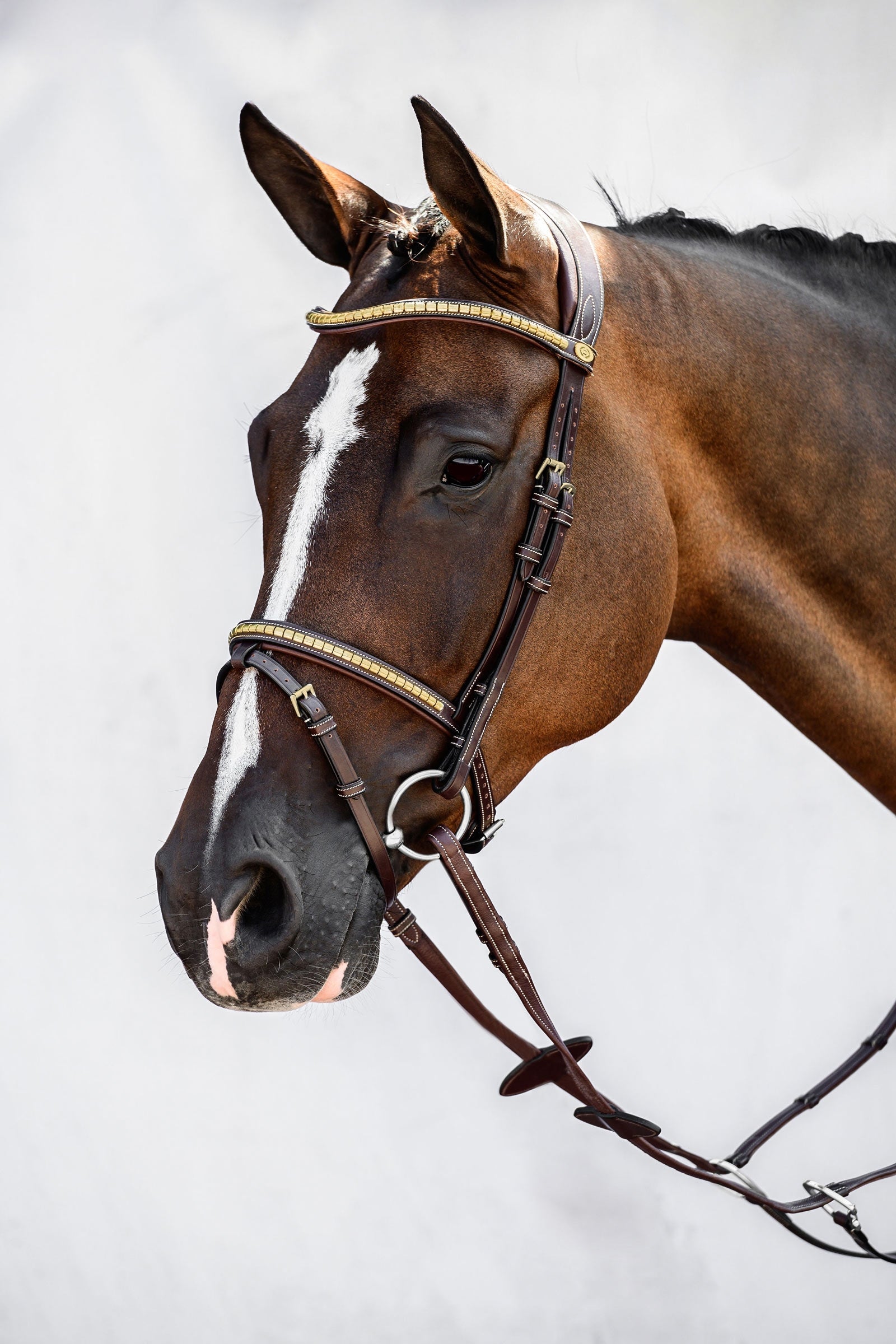 PS of Sweden Antwerp 2.0 Bridle Hoofdstellen & Teugels