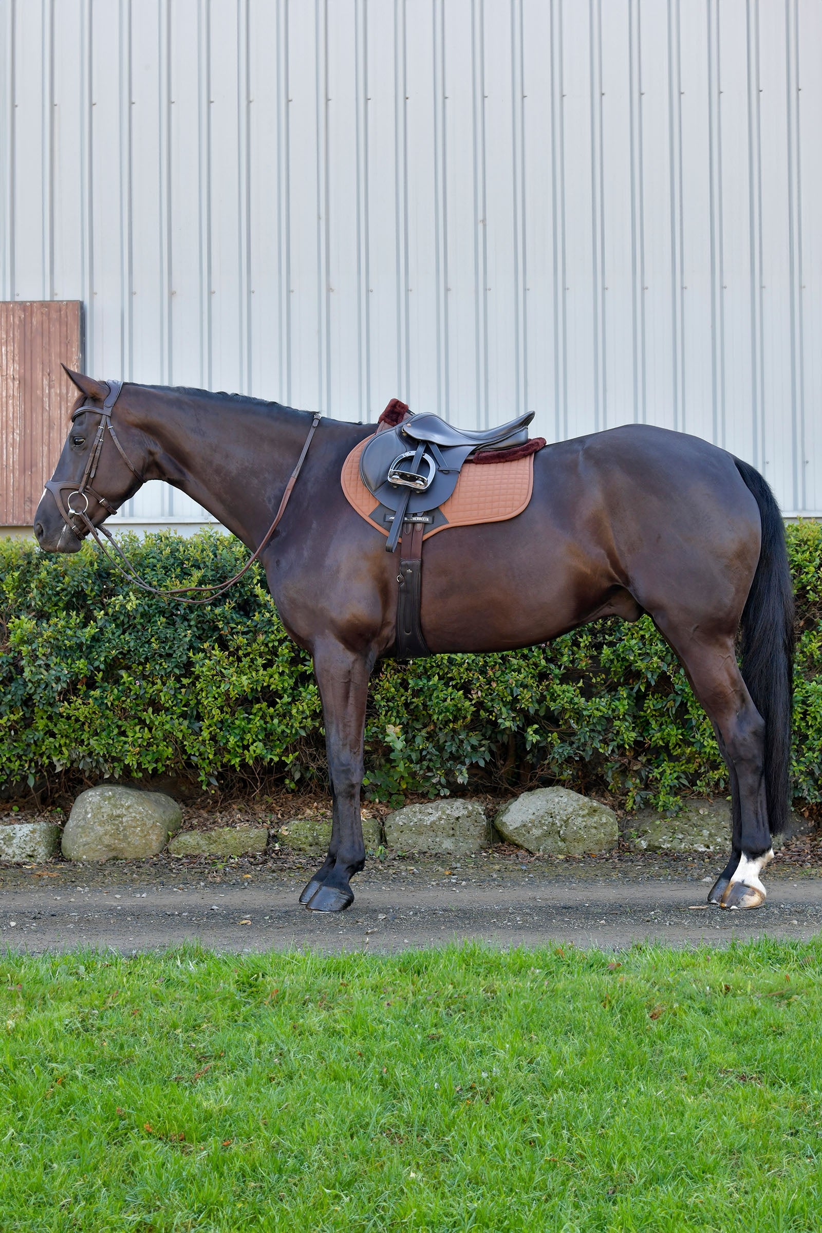 Weatherbeeta Prime Comfy Fleece Jump Shaped Saddle Pad Saddle Pads