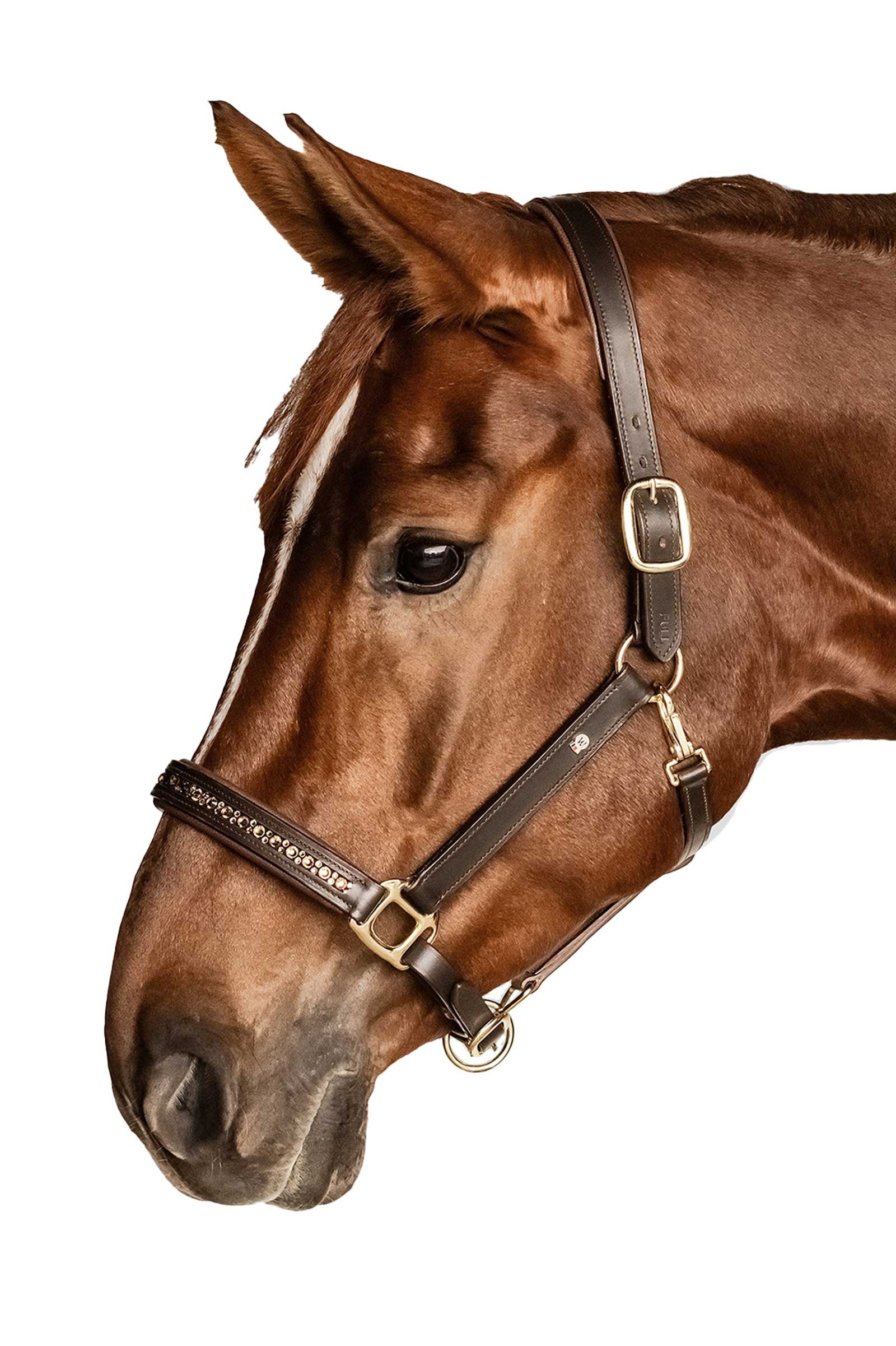 Waldhausen X-Line Leather halter Crystal Halters & Leads