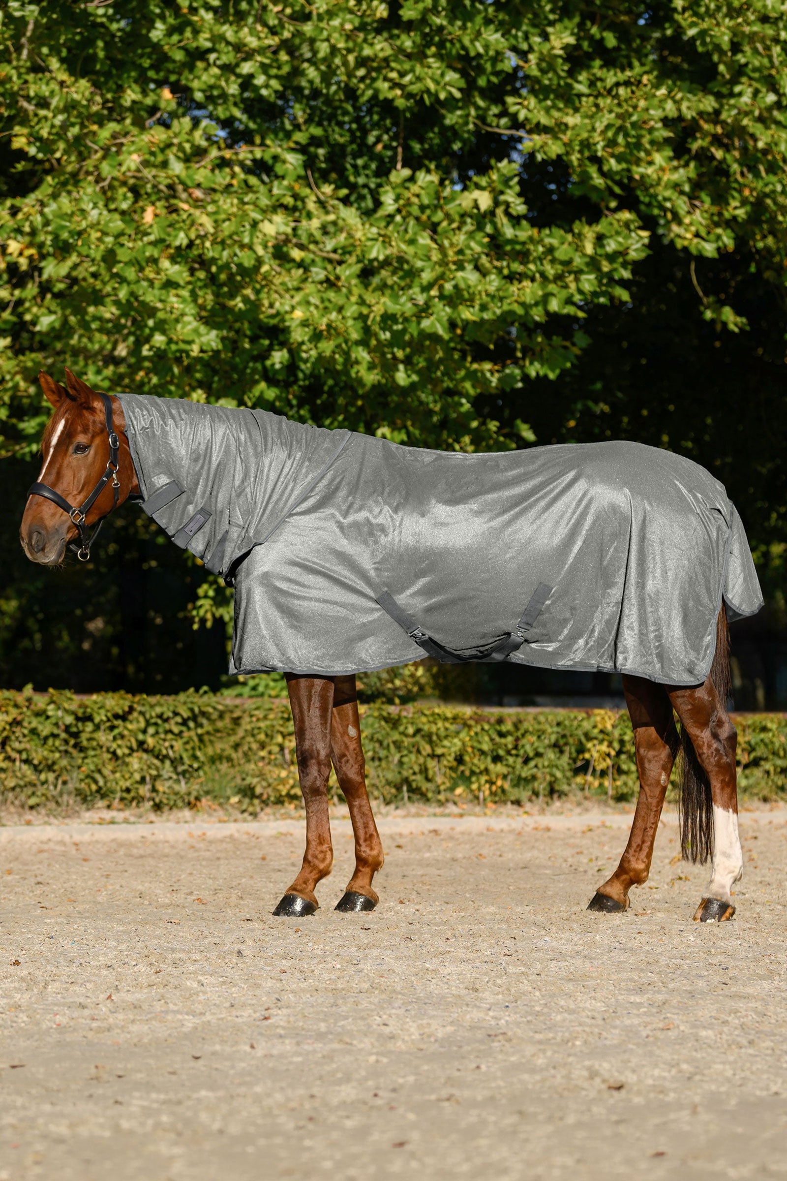 Waldhausen FlyControl vliegendeken met hals en UV-bescherming Paardendekens