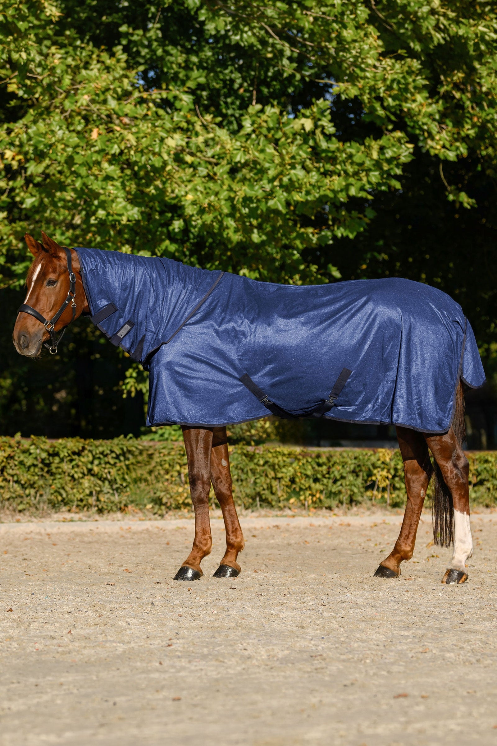 Waldhausen FlyControl vliegendeken met hals en UV-bescherming Paardendekens
