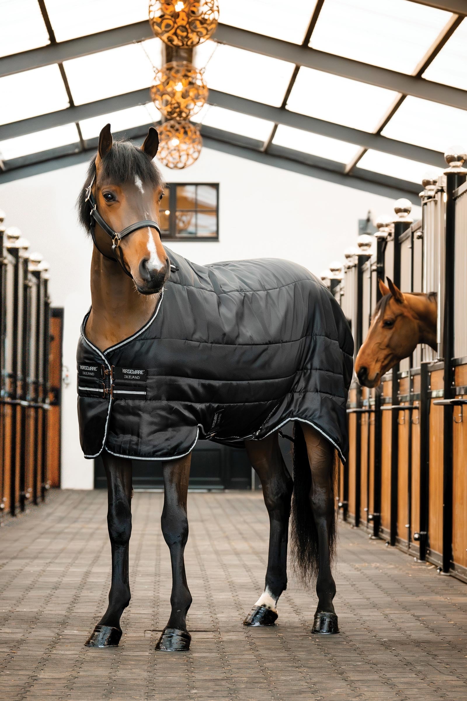 Horseware Easy-Layer stal deken 100g Paardendekens