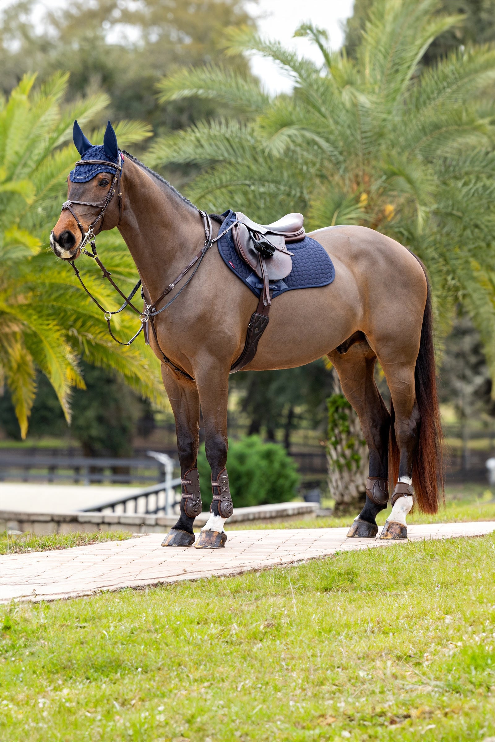 LeMieux Prosorb Plain 2 Pocket Close Contact Pad Saddle Pads
