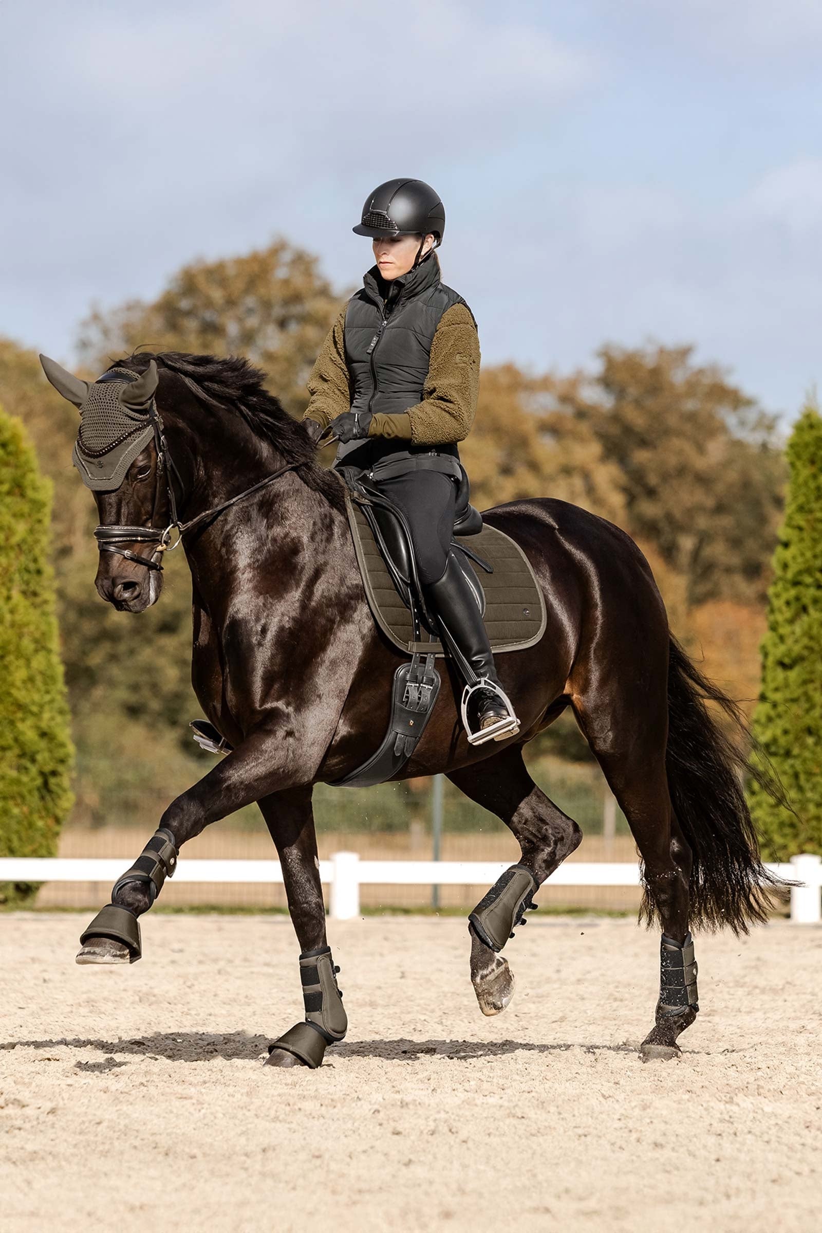 Waldhausen St. Gallen All Purpose Saddle Pad Zadeldekjes