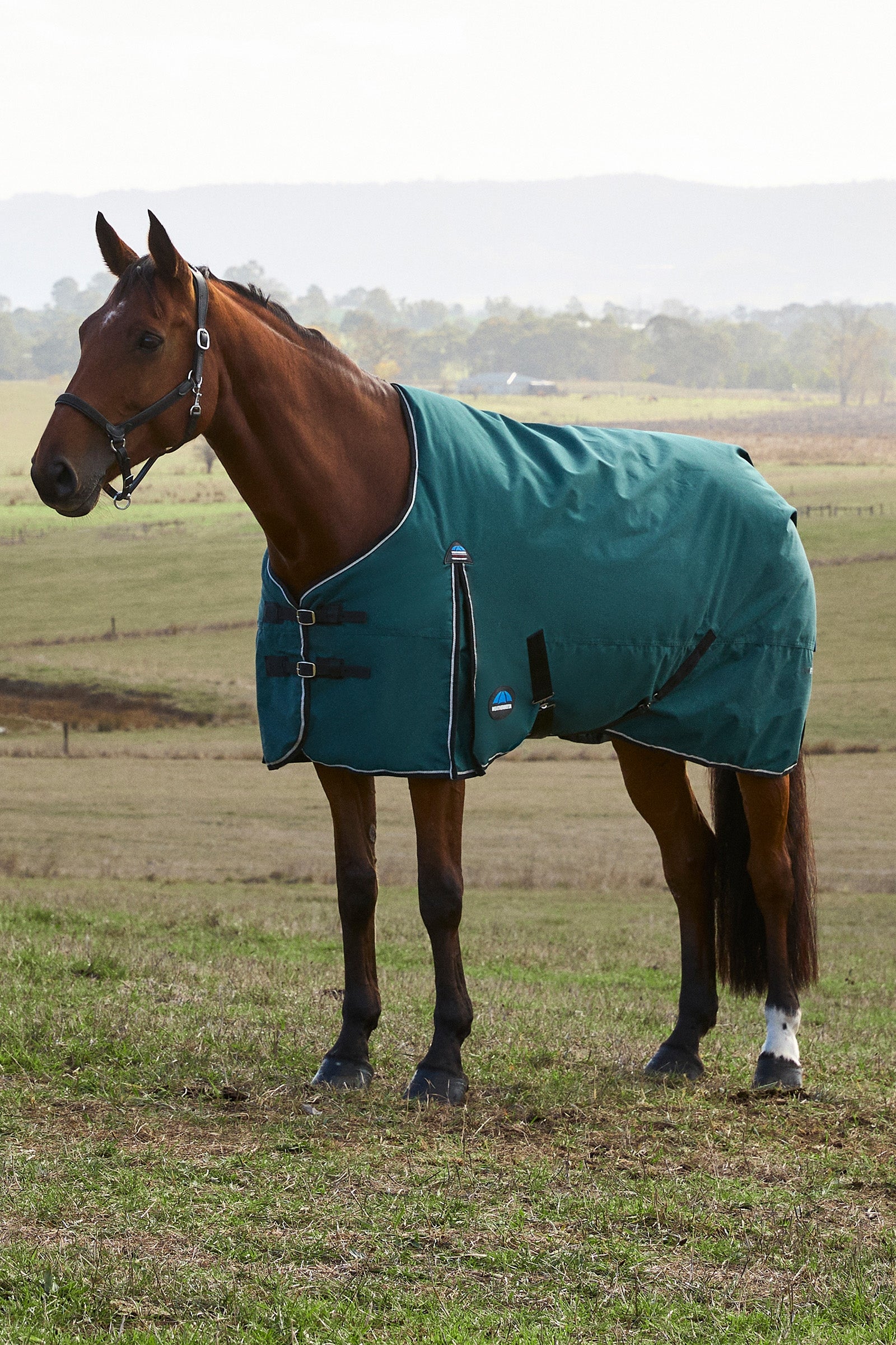 Weatherbeeta ComFiTec Classic Turnout Standard Neck 220G Paardendekens