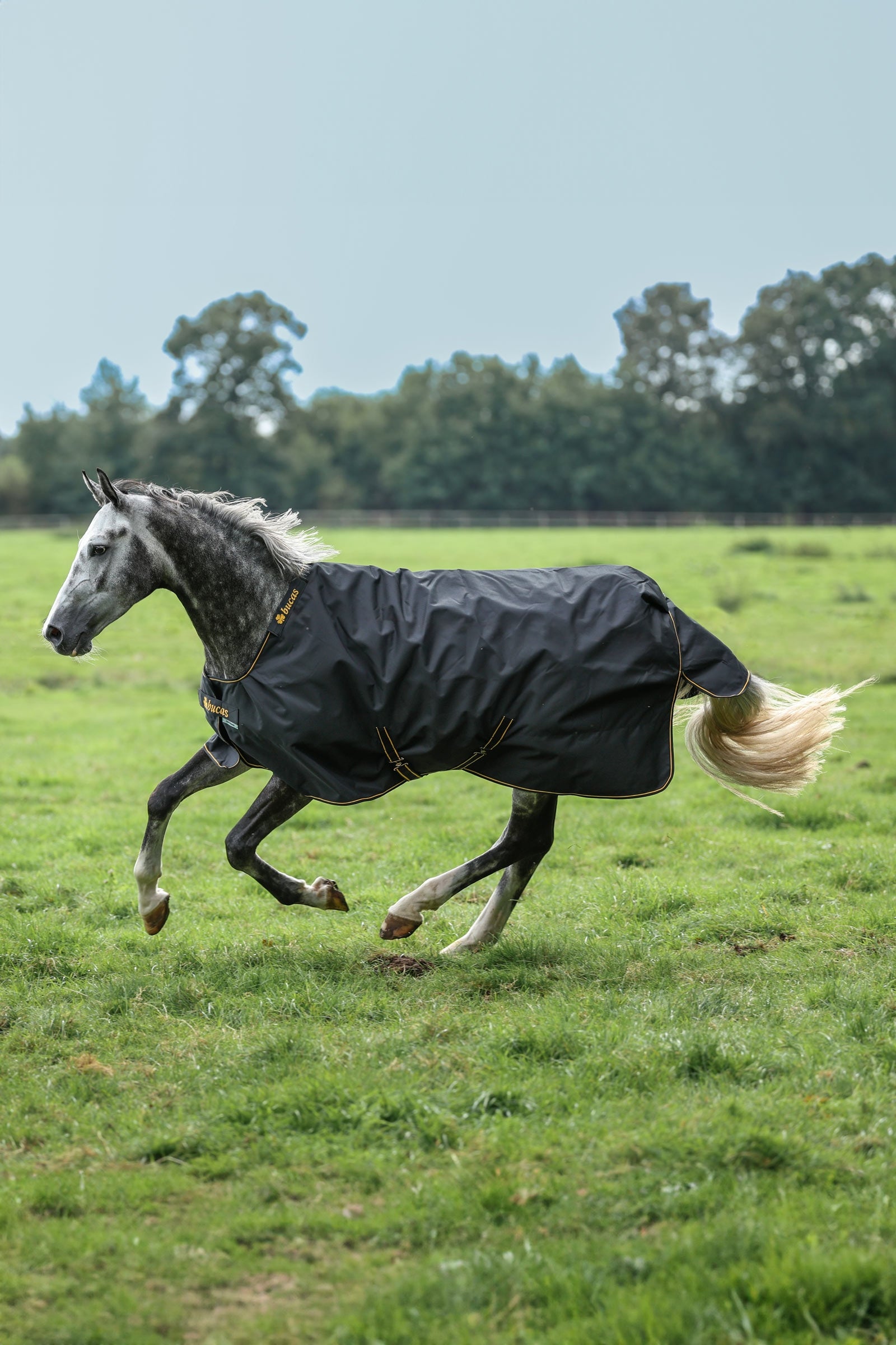 Bucas Irish Turnout Rug, 150g Horse Rugs