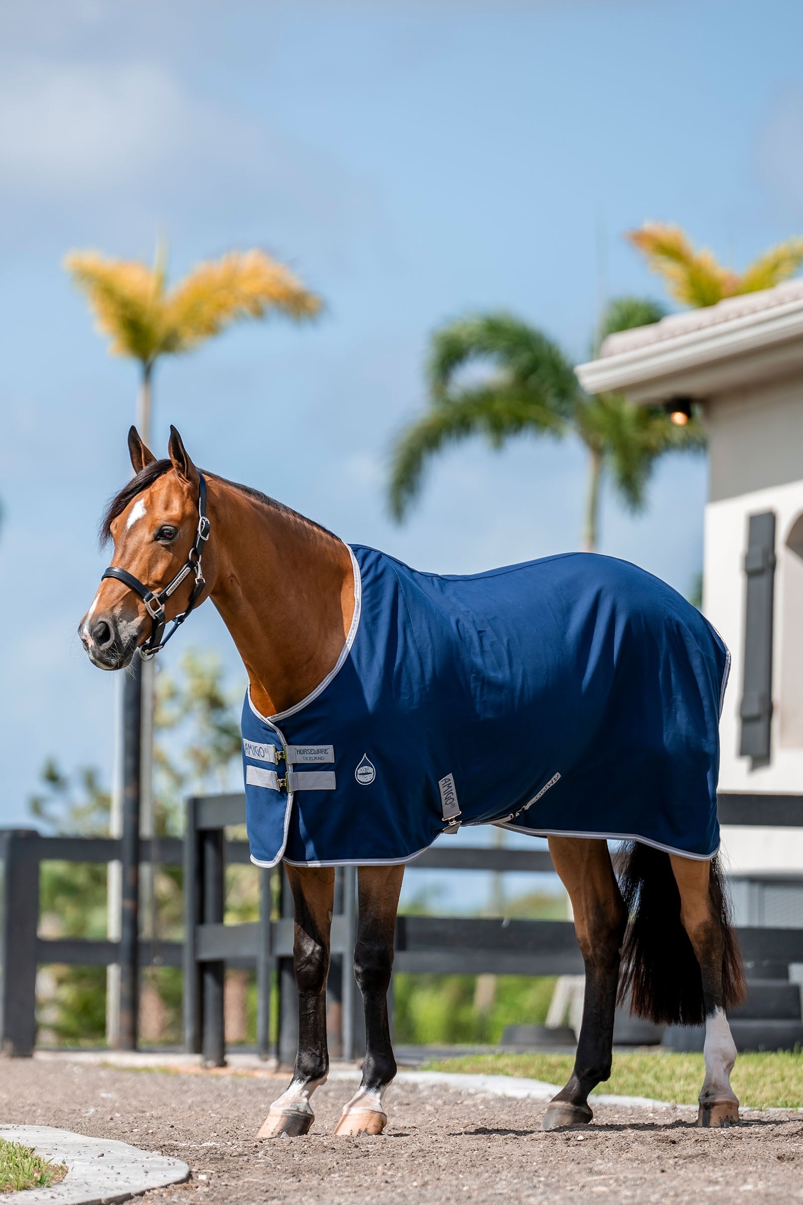 Horseware Amigo Staldeken, 0g Paardendekens